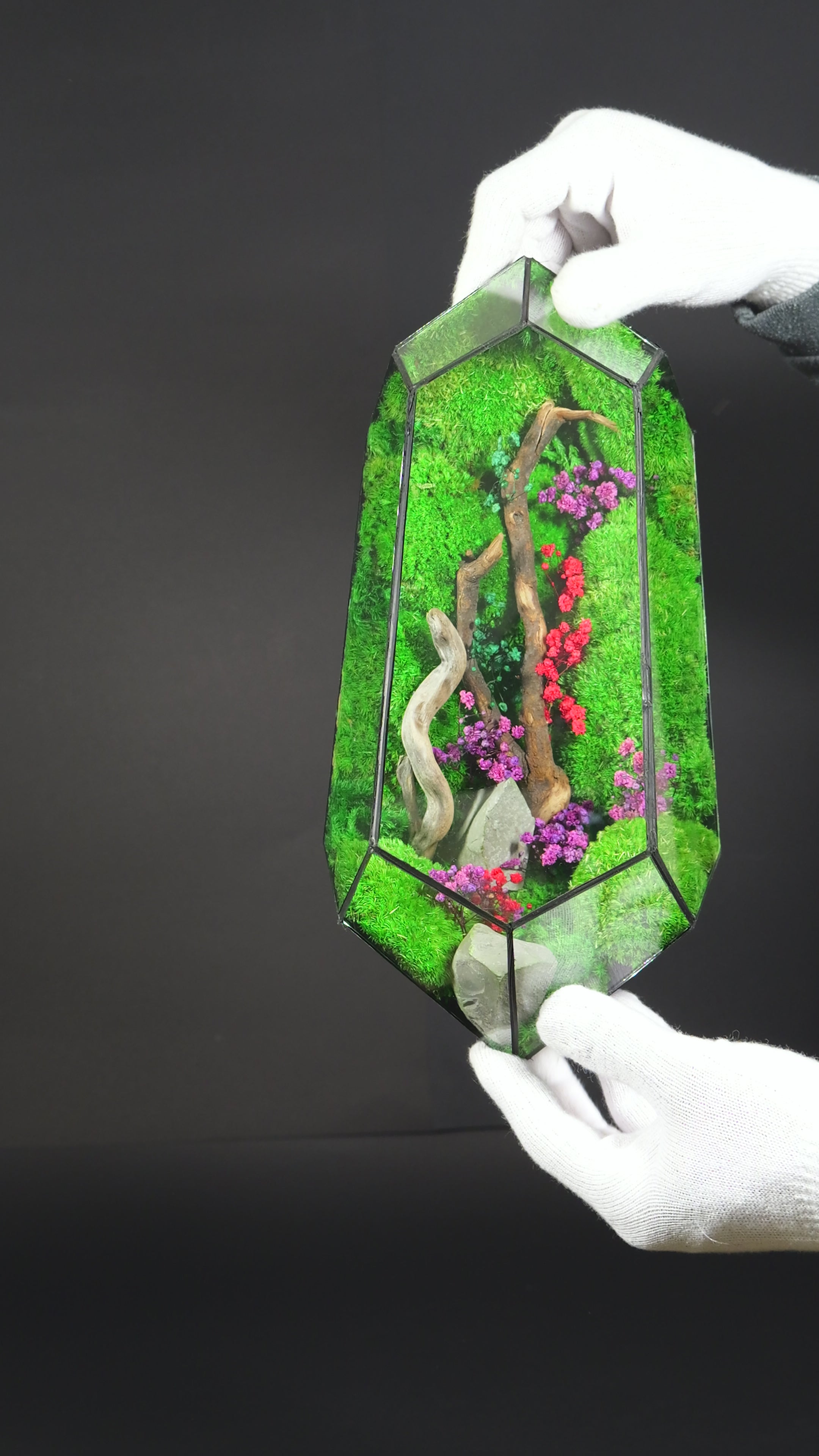 Terrario Botanico Decorativo – Oggetto di Design con Piante 3