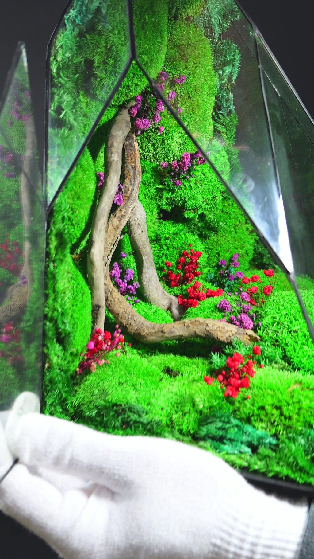 Terrario da Scrivania con Muschio – Relax Naturale Quotidiano 35