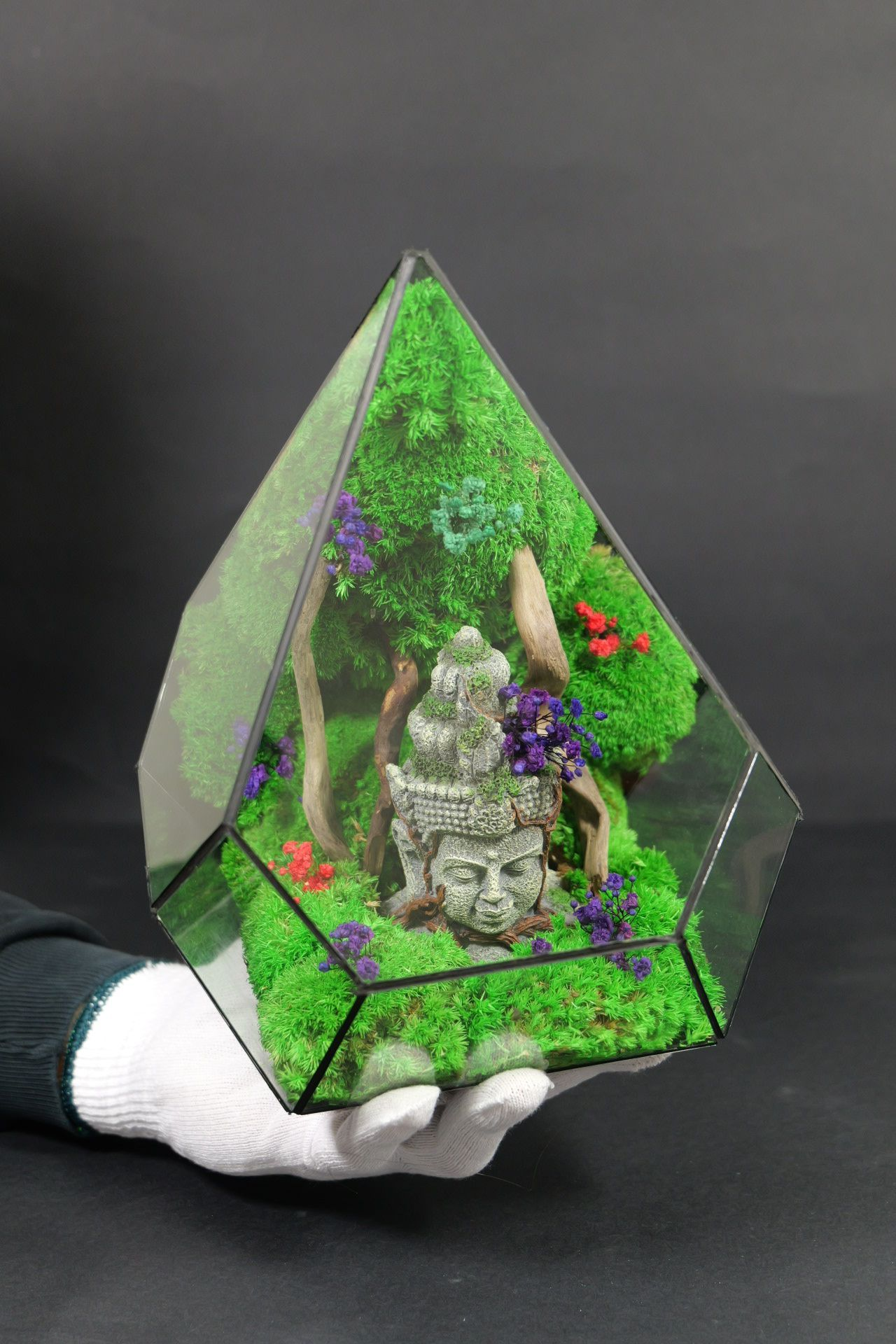 Terrarium 4