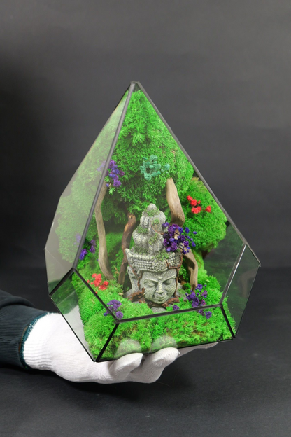 Terrarium 4