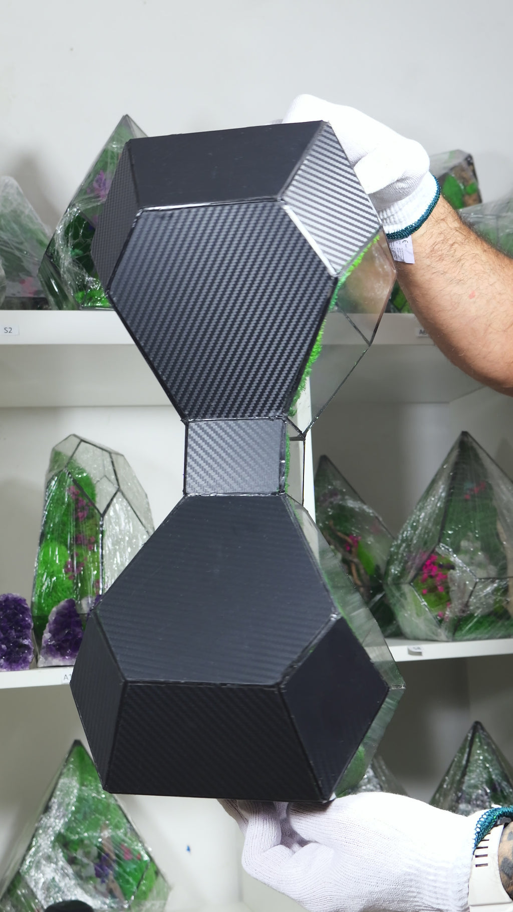 Terrarium in Vetro con Piante Naturali – Ecosistema Decorativo da Interno 50