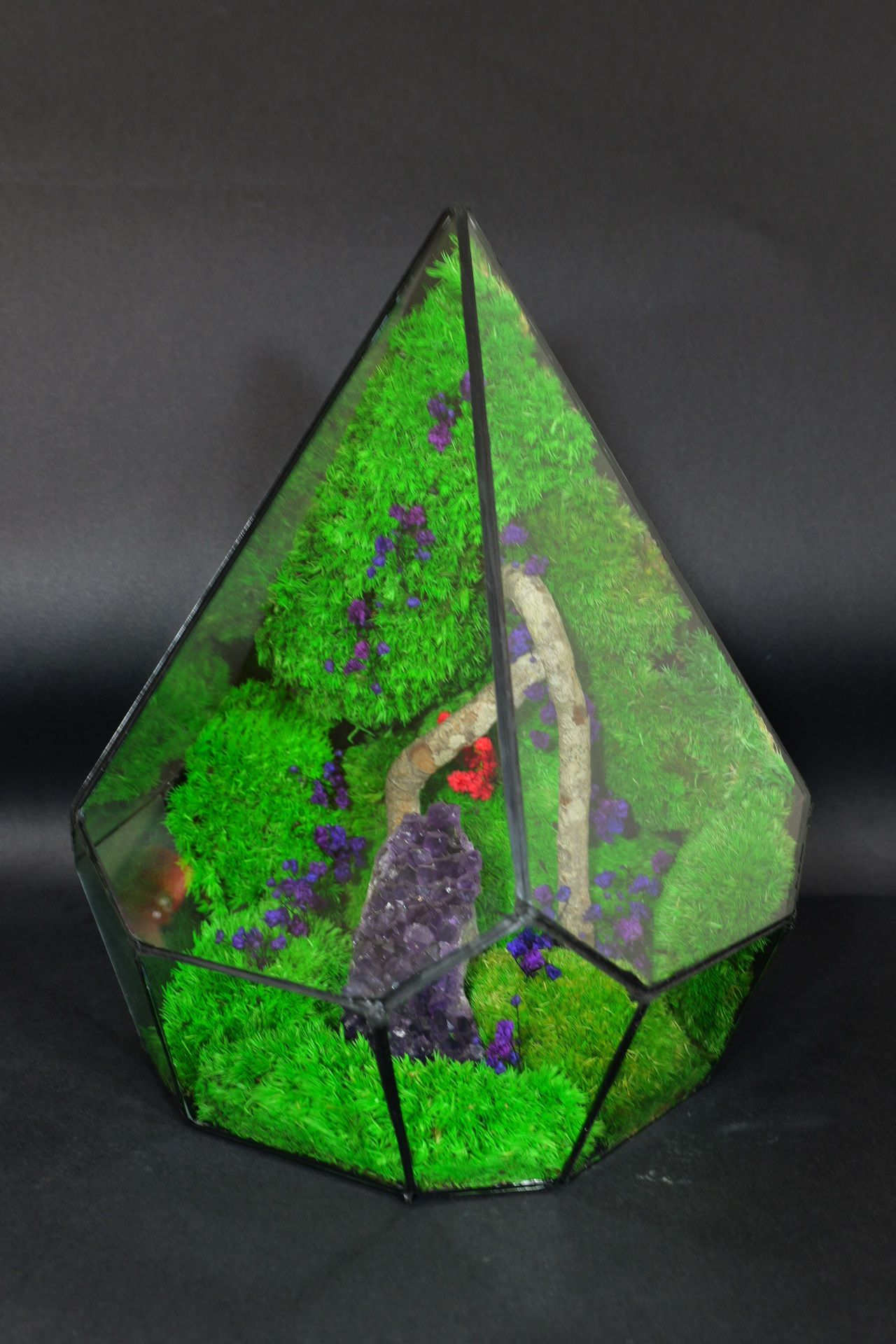 Terrarium Ornamentale da Tavolo – Decorazione Naturale Elegante 43