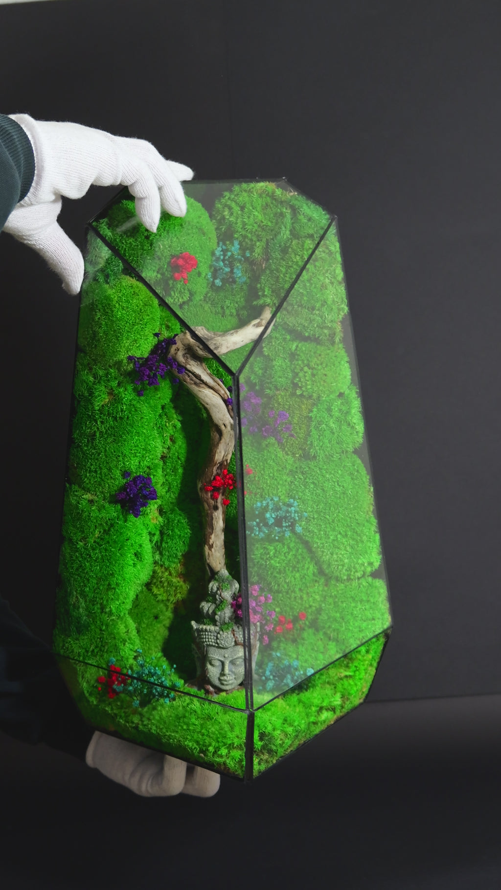 Terrarium con Muschio Stabilizzato – Oggetto Decorativo Green 20