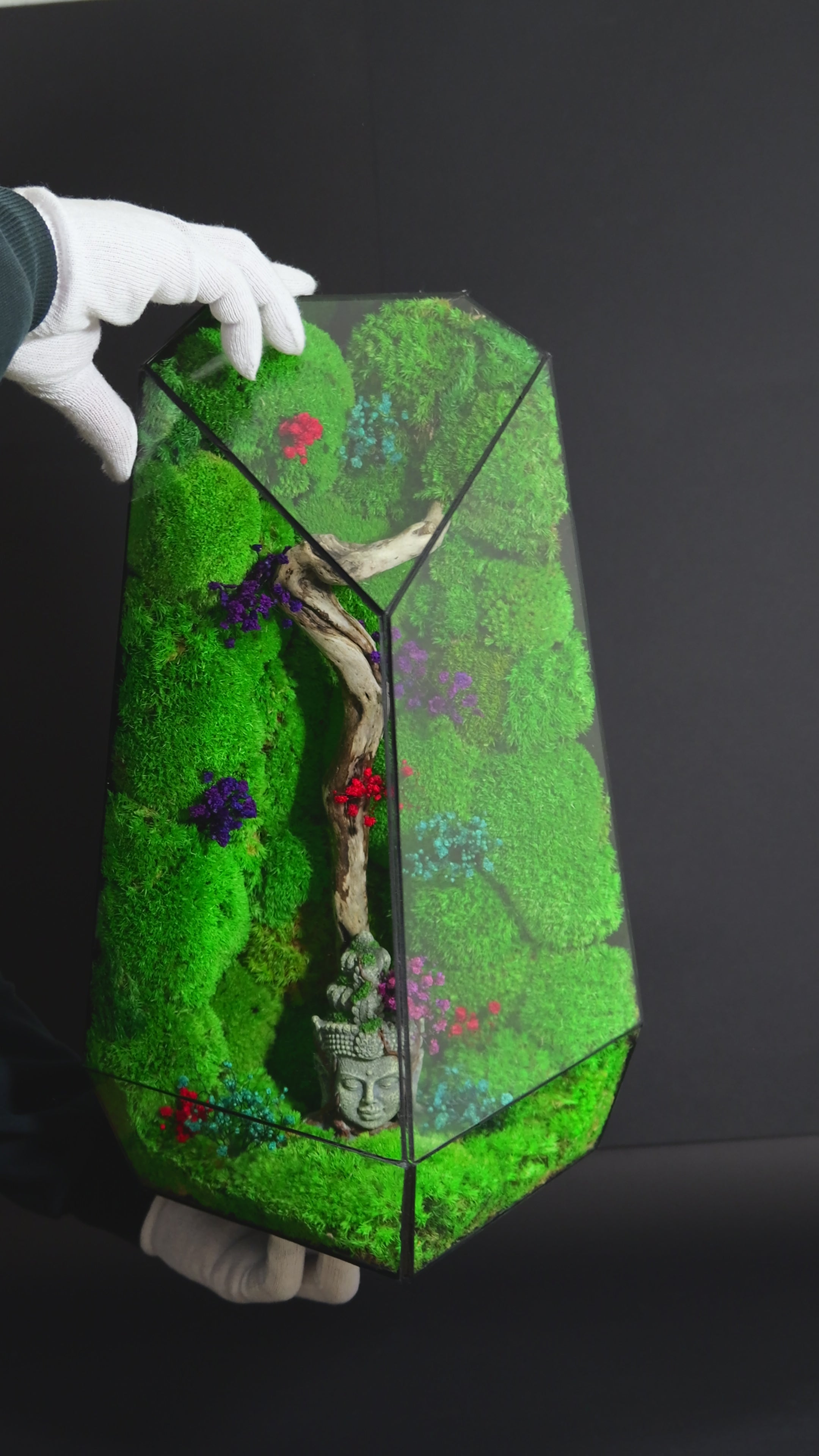 Terrarium con Muschio Stabilizzato – Oggetto Decorativo Green 20