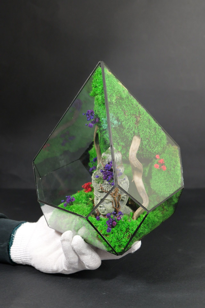 Terrarium 4