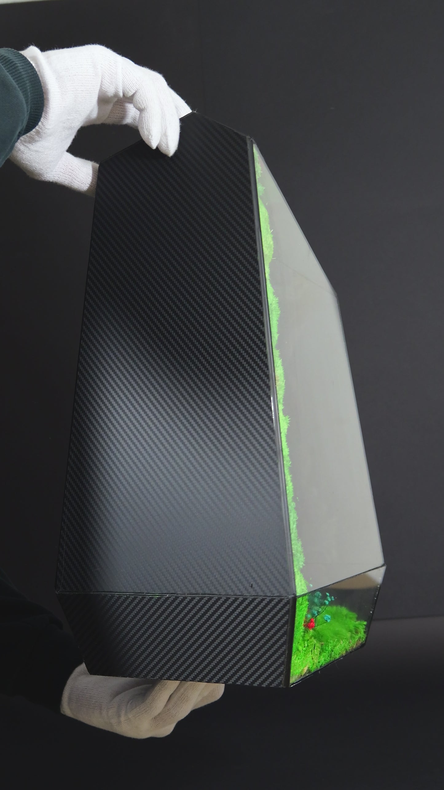 Terrarium 20 GIGANTE