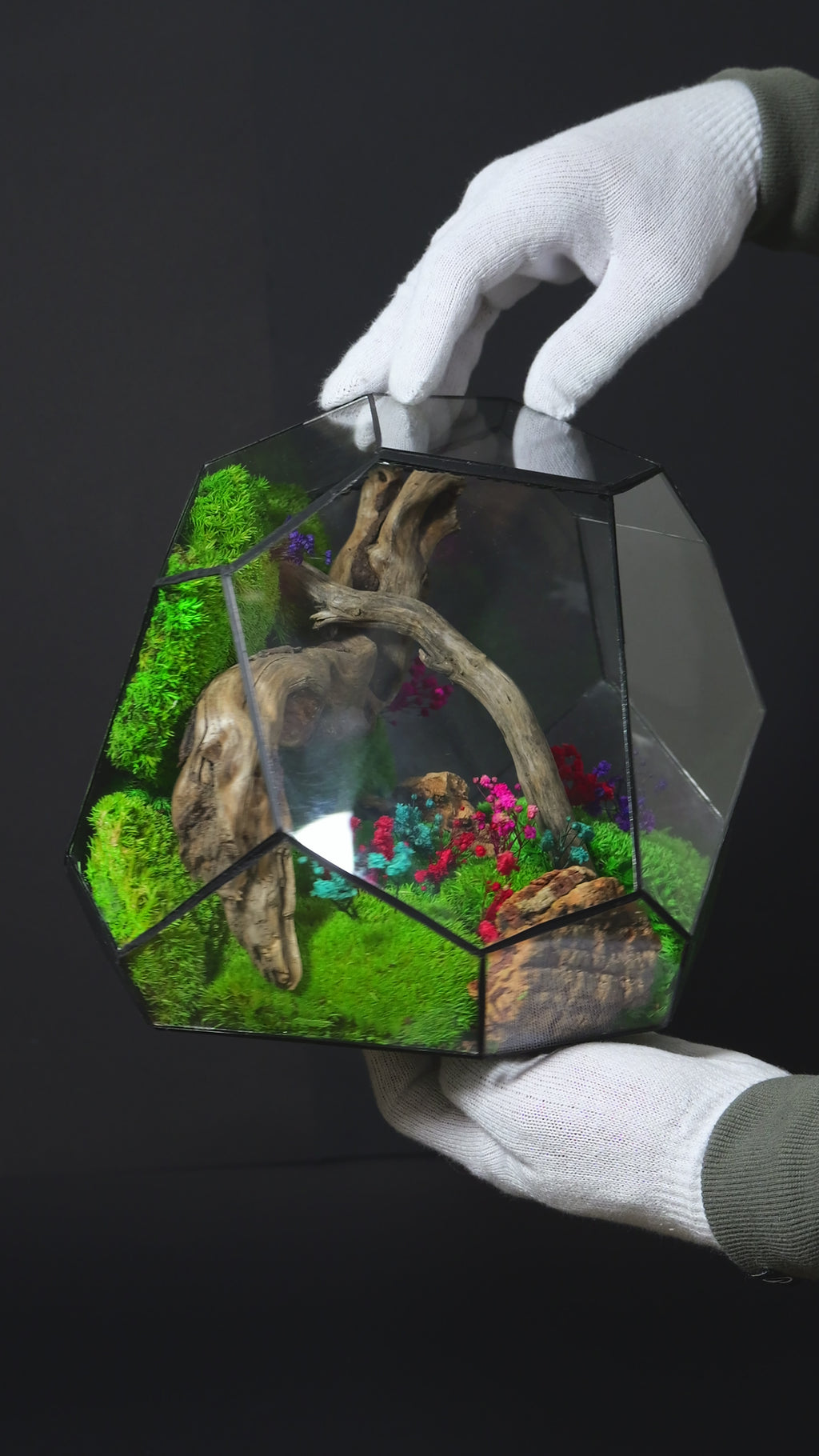 Terrarium ecosistemico autosostenibile decorativo per casa 24