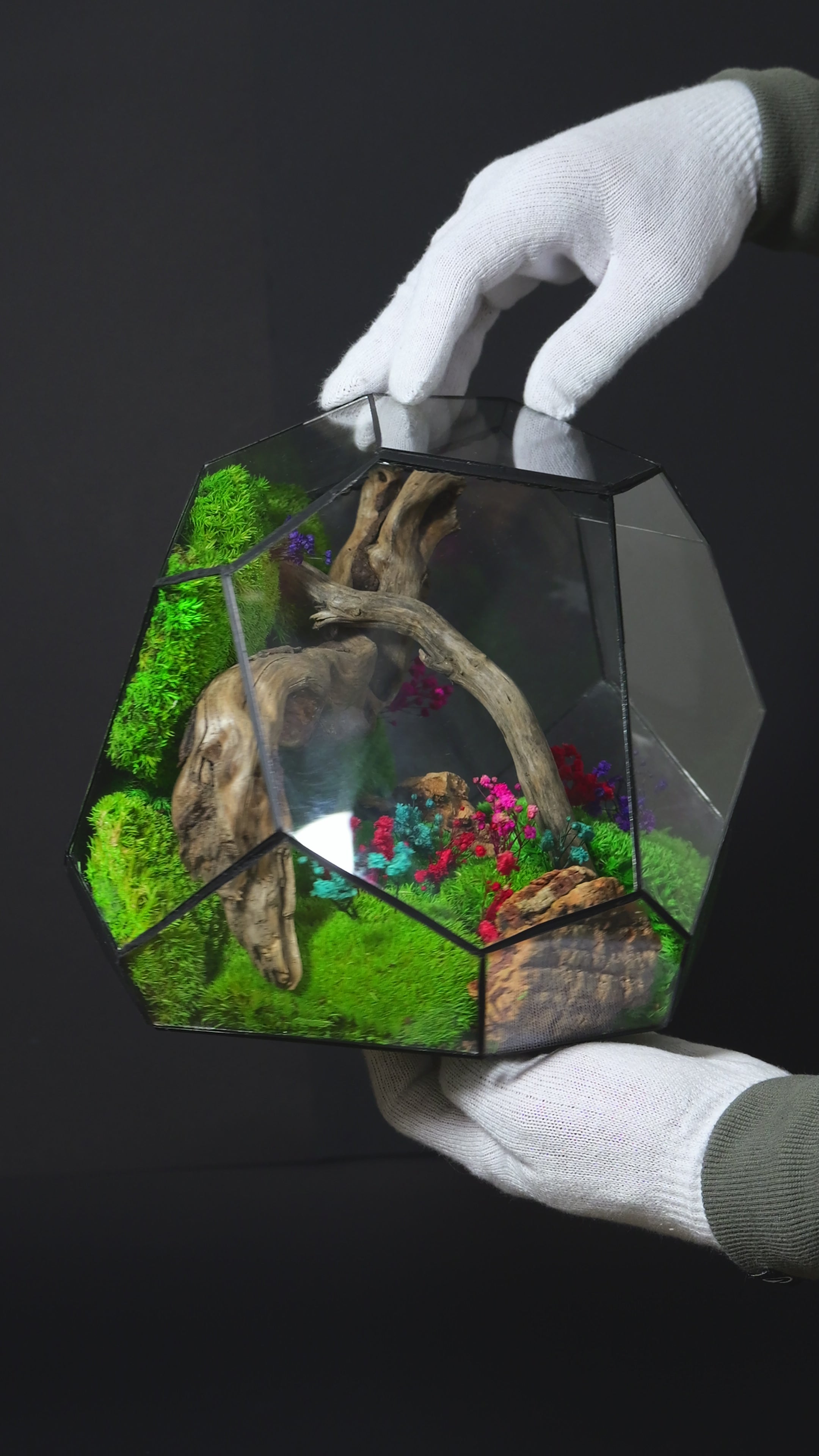 Terrarium ecosistemico autosostenibile decorativo per casa 24