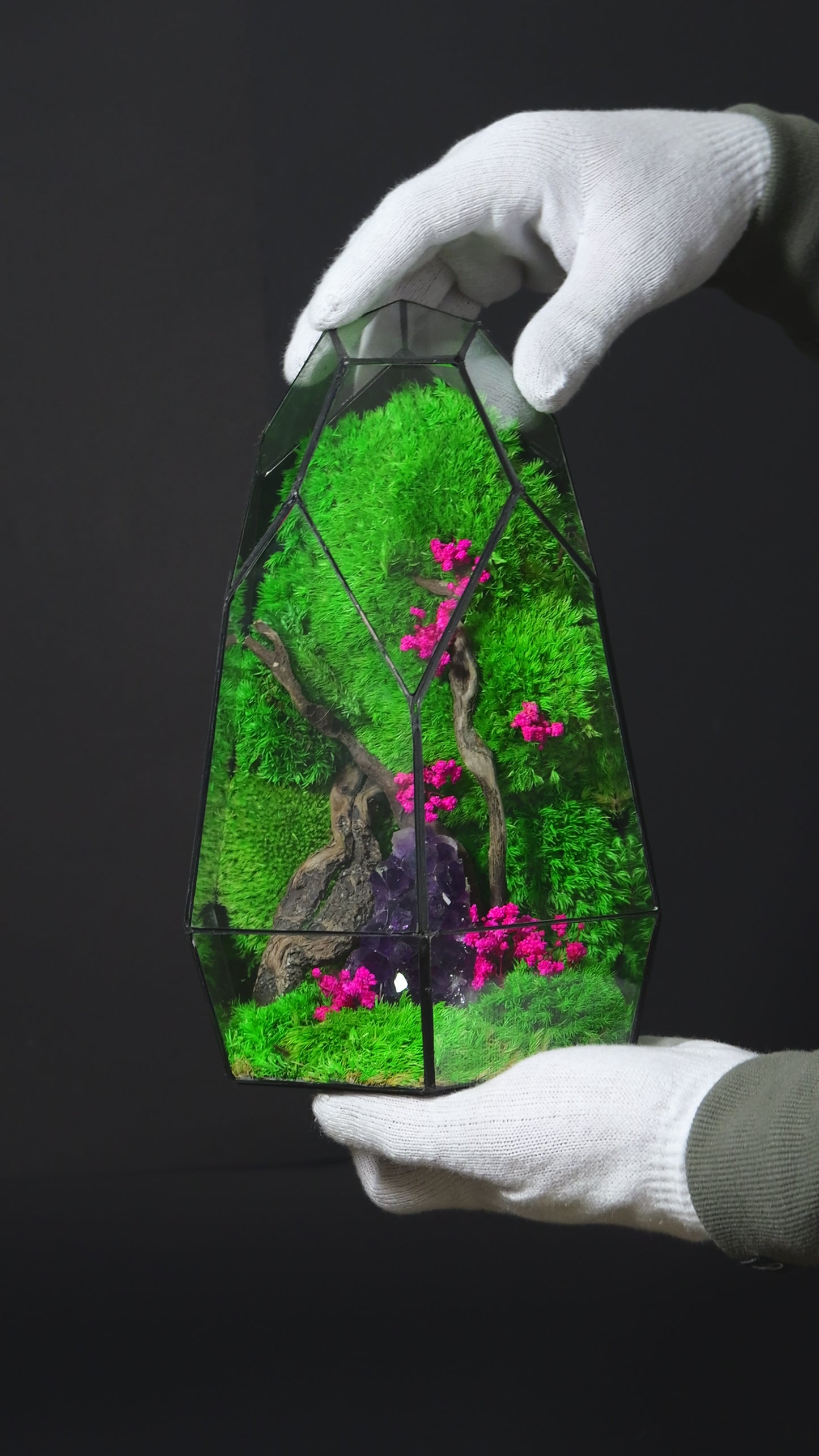 Terrarium 23