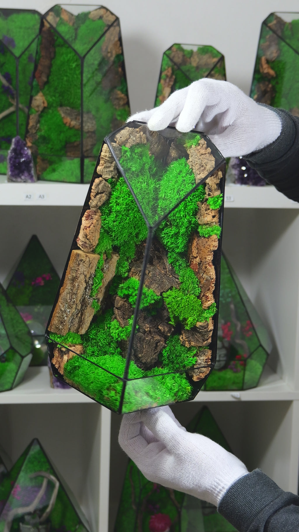 Terrarium Naturale con Muschio Vivo – Arredo Casa Moderno 28