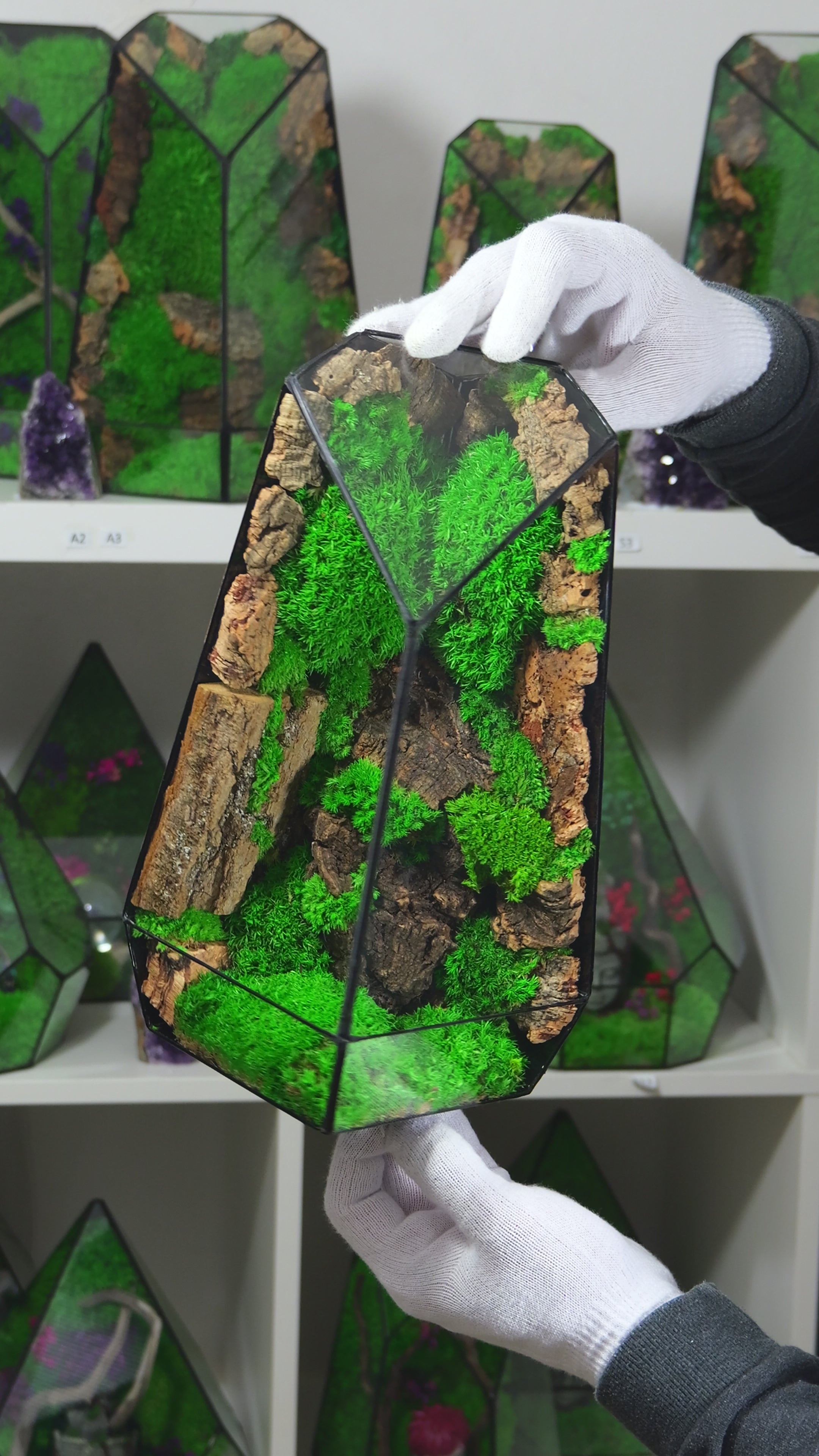 Terrarium Naturale con Muschio Vivo – Arredo Casa Moderno 28