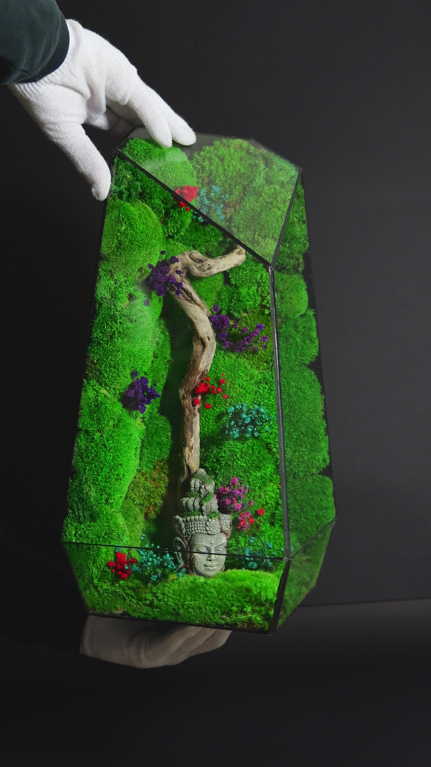 Terrarium 20 GIGANTE