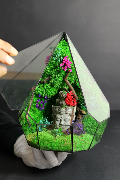 Terrarium 6