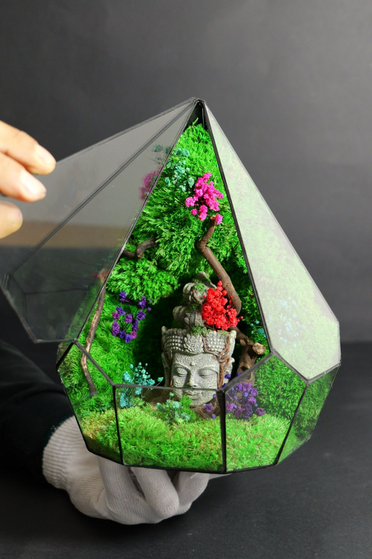Terrarium 6
