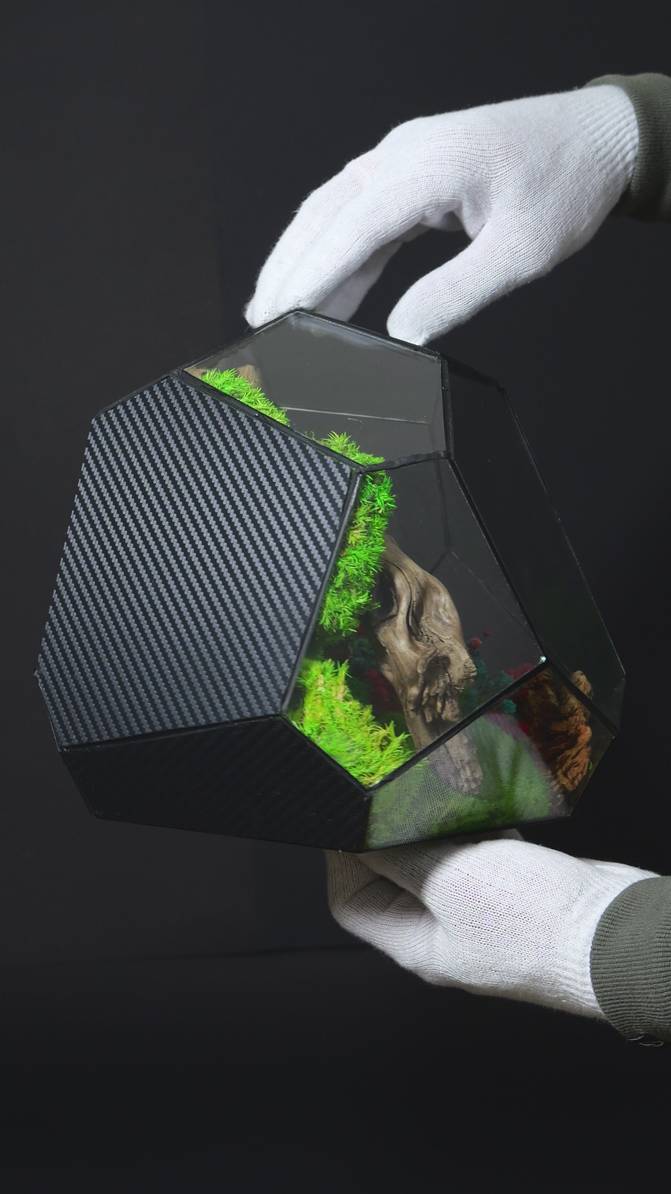 Terrarium ecosistemico autosostenibile decorativo per casa 24