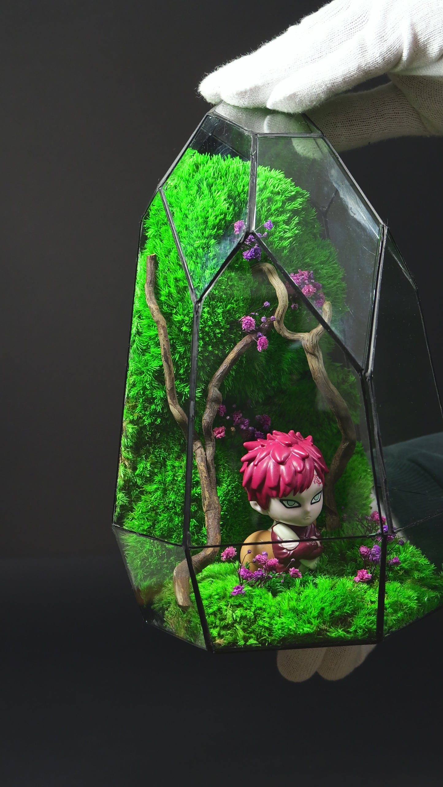 Terrarium 19 "Gaara"