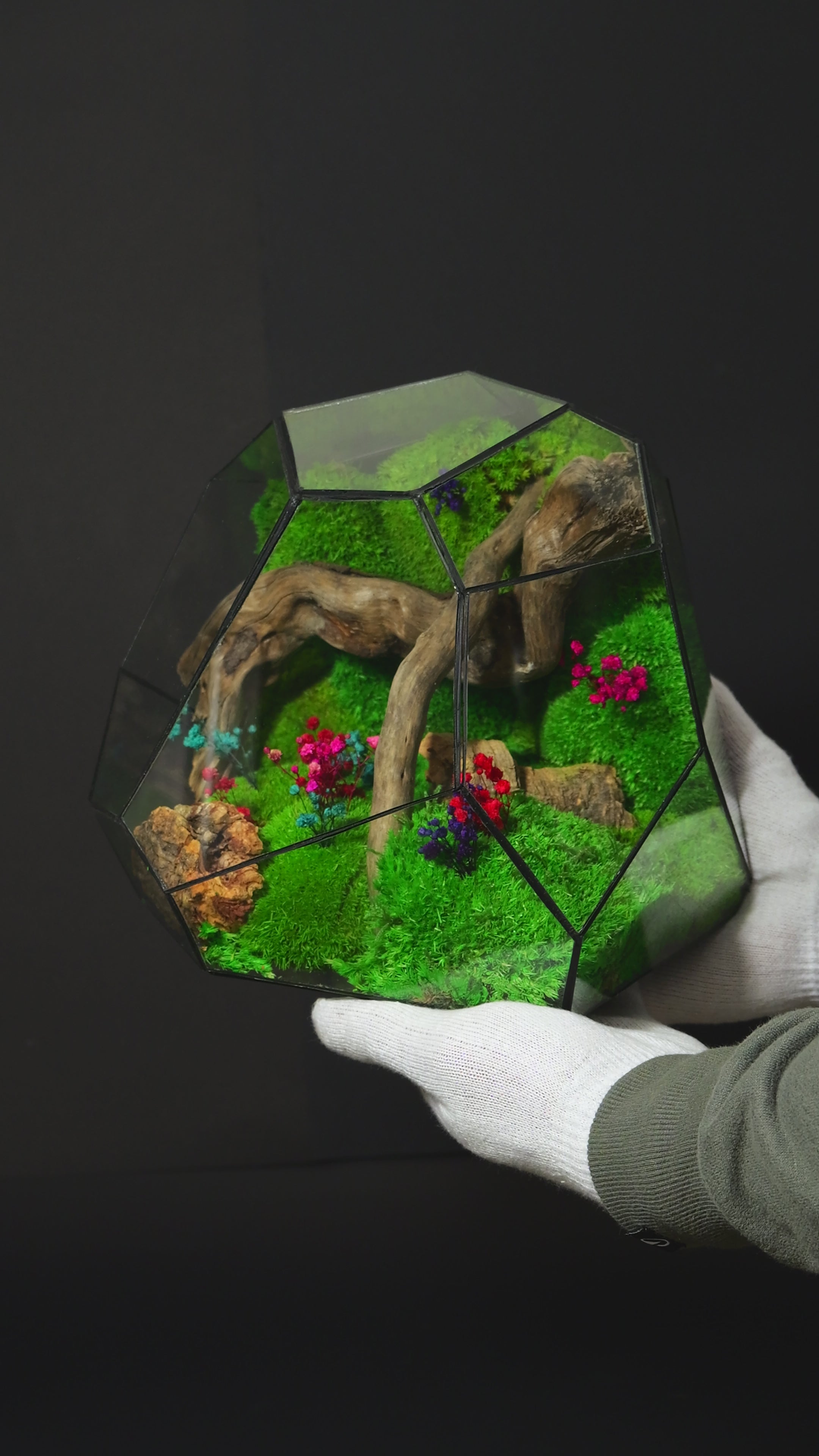 Terrarium ecosistemico autosostenibile decorativo per casa 24