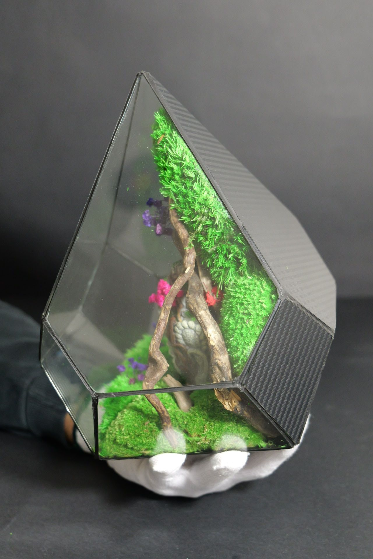 Terrarium 14