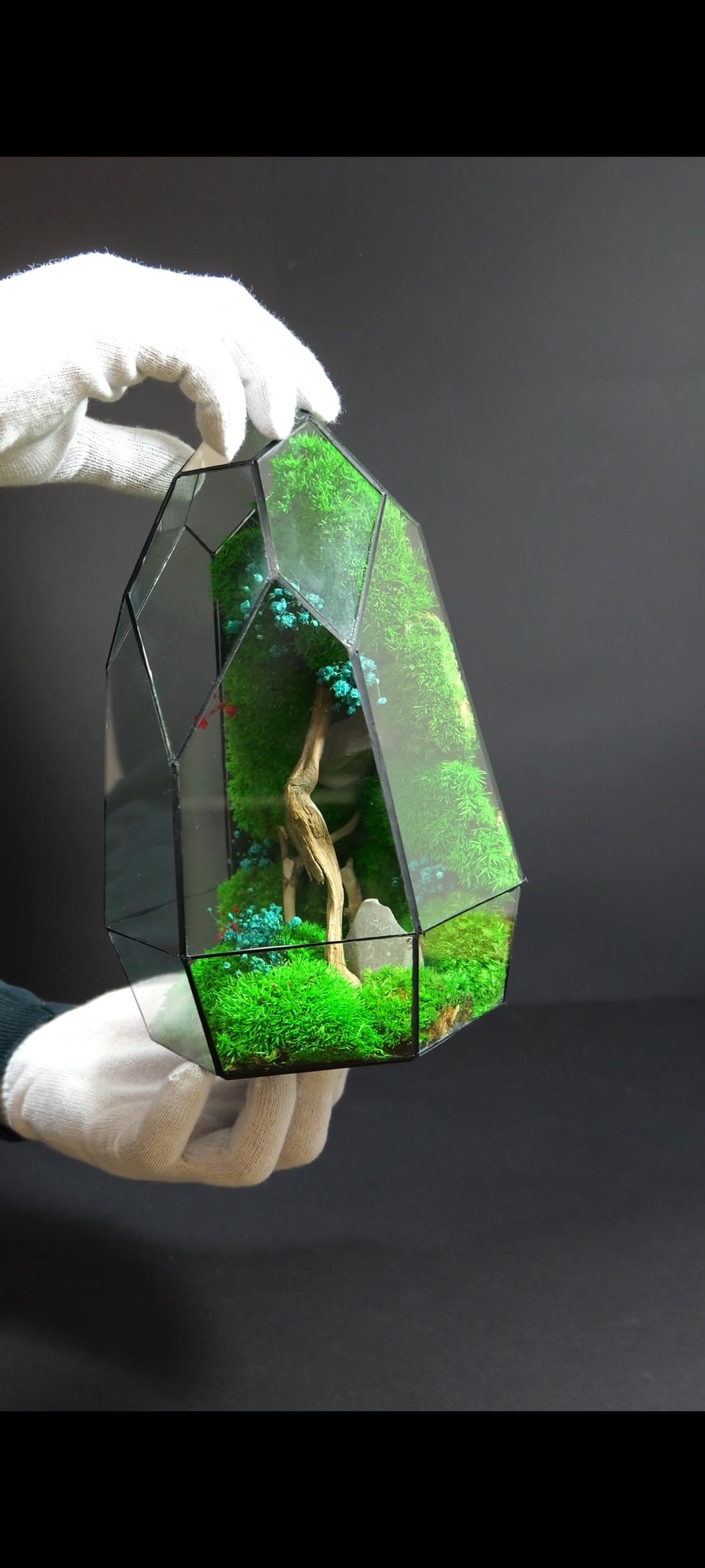 Terrarium da Tavolo Elegante – Ecosistema Verde Naturale 19