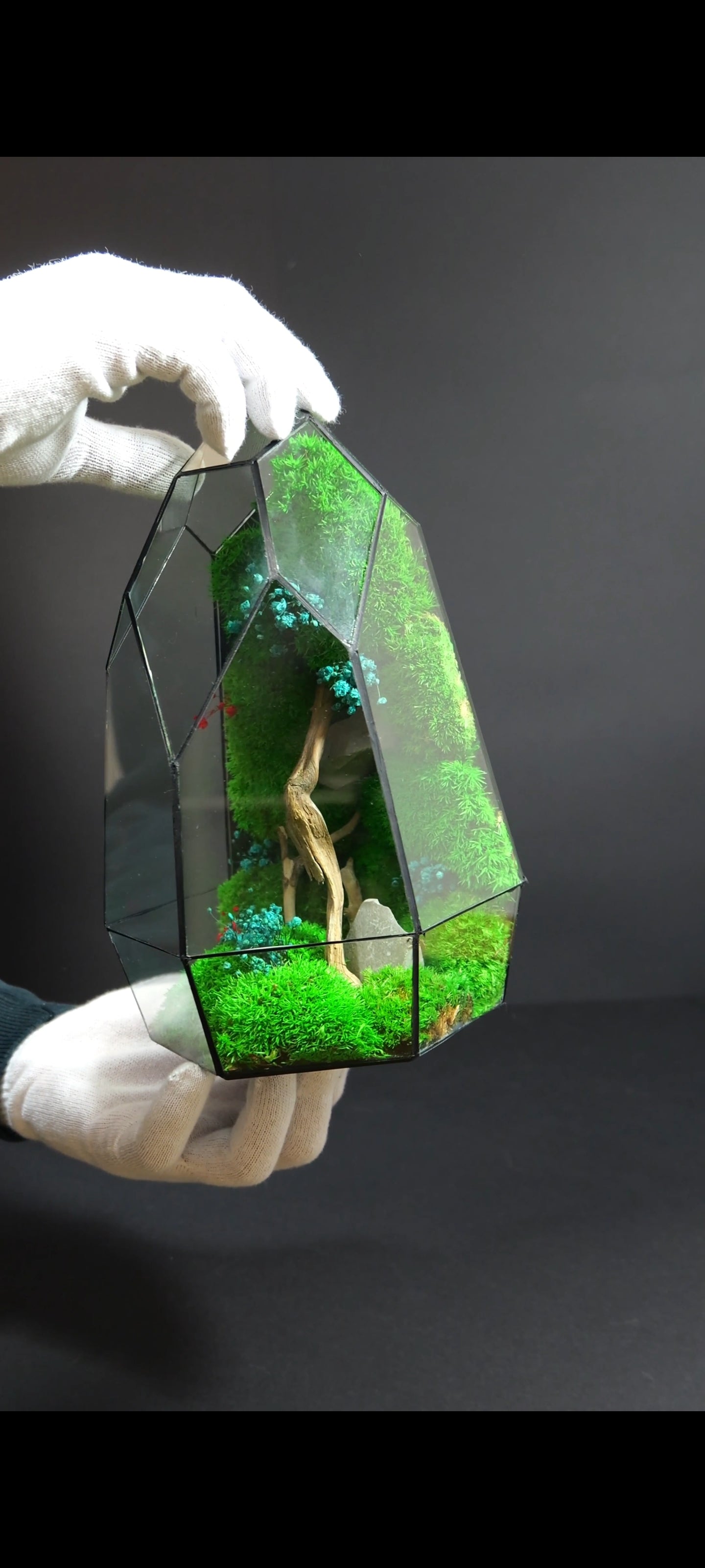 Terrarium da Tavolo Elegante – Ecosistema Verde Naturale 19