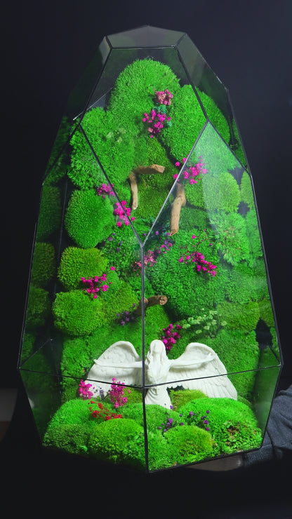 Terrarium 38 GIGANTE