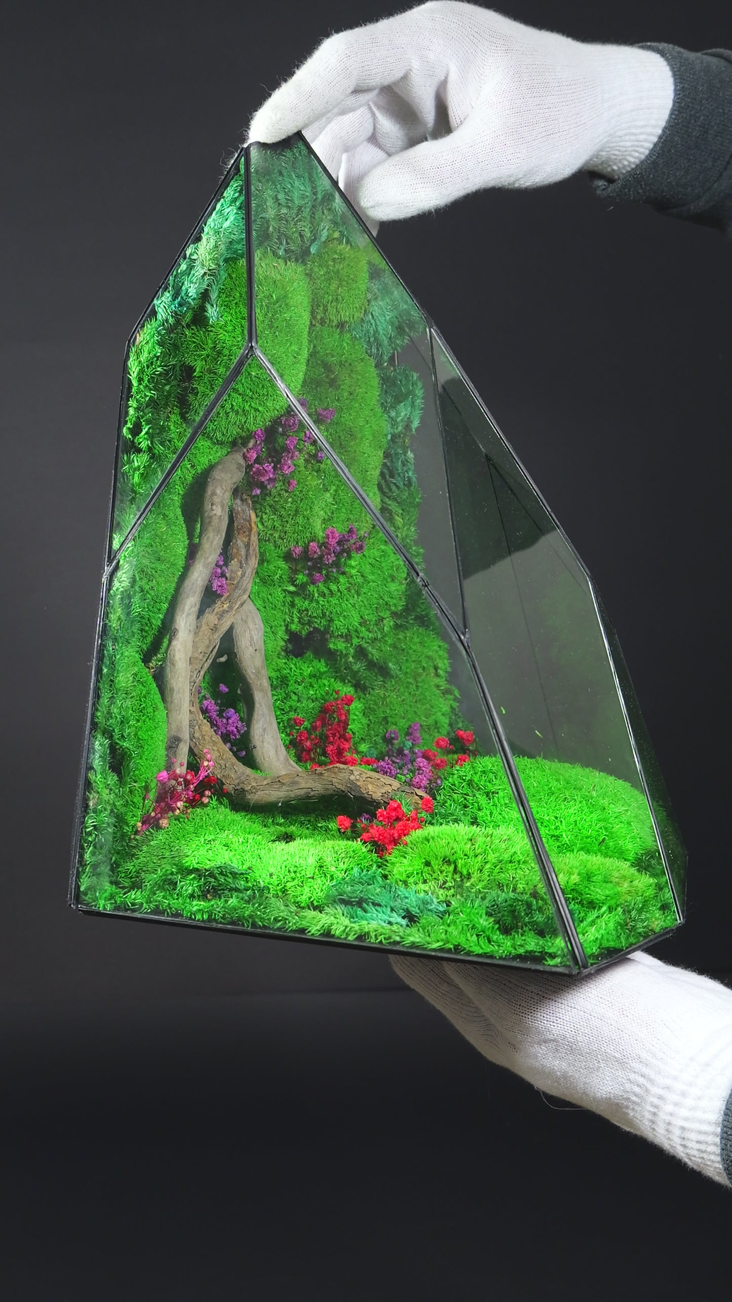 Terrarium 35 GIGANTE