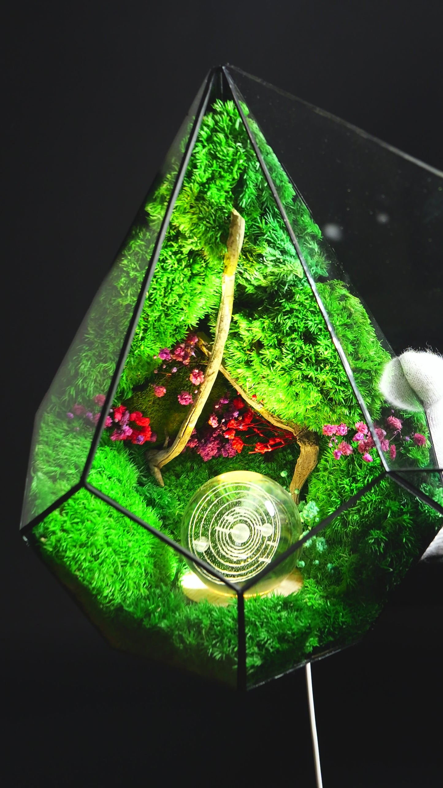Terrarium 33