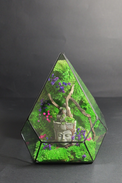Terrarium 9