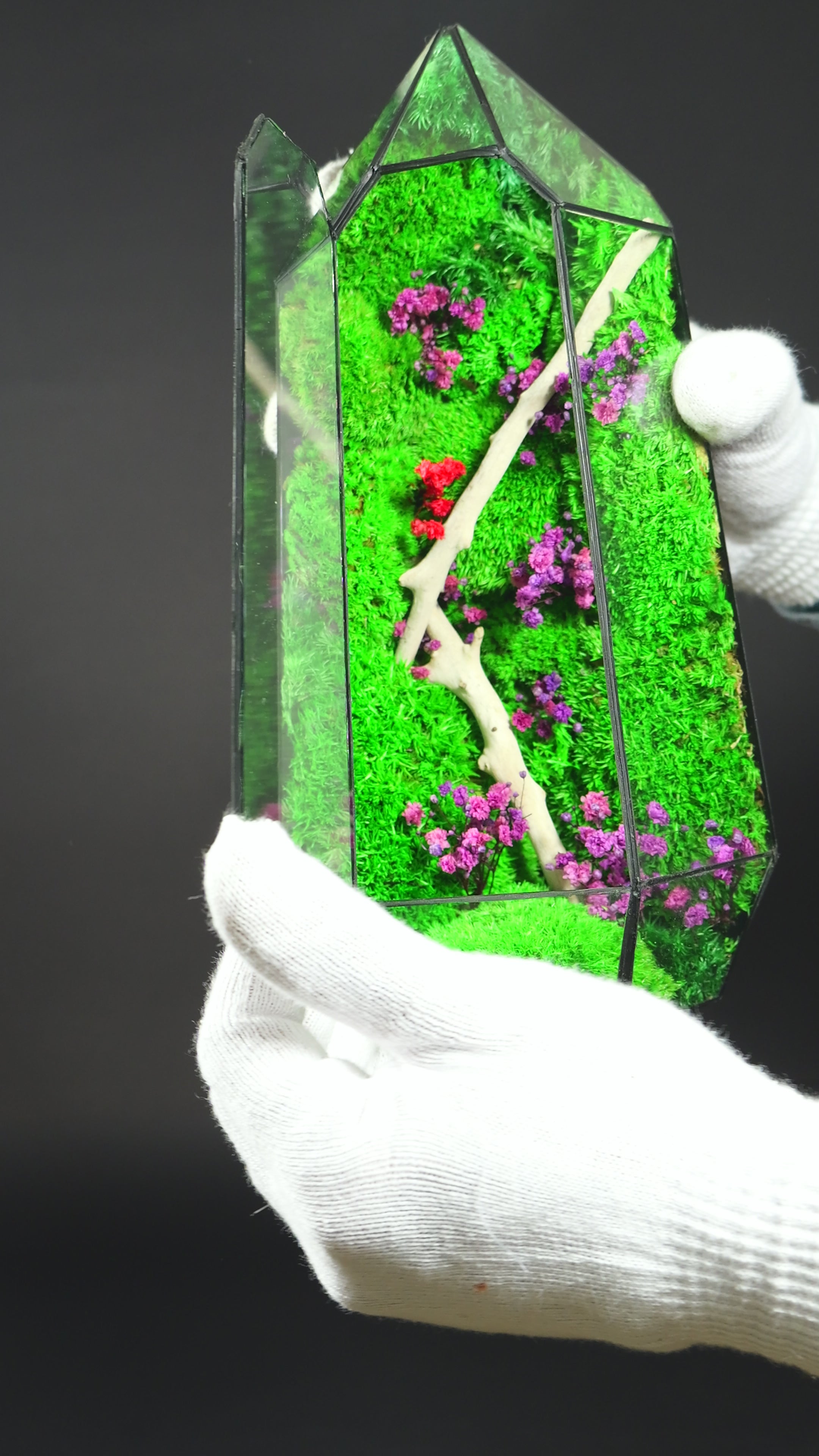 Terrarium Elegante per Arredamento Casa – Stile Green Moderno 34