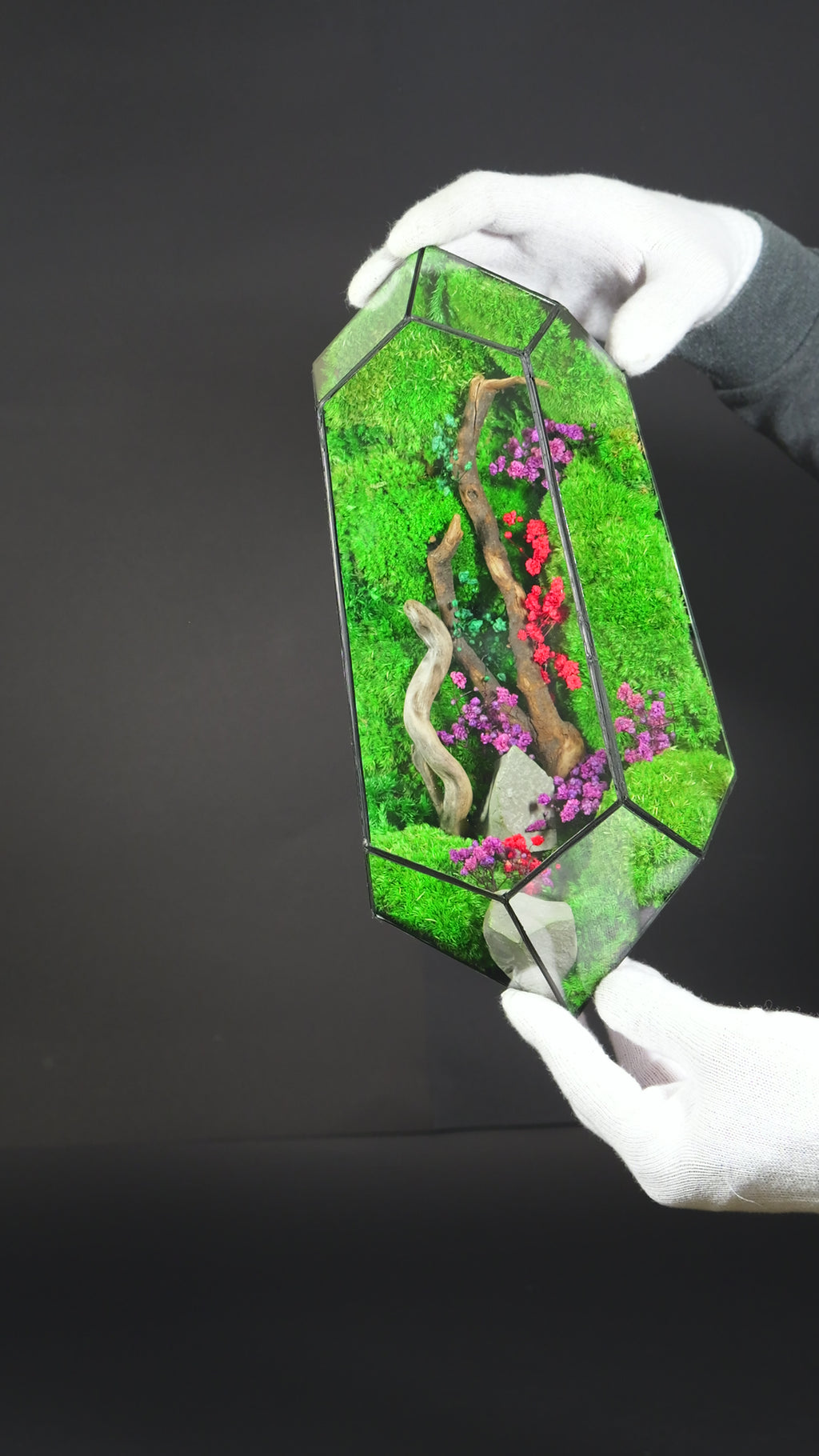 Terrario Botanico Decorativo – Oggetto di Design con Piante 3