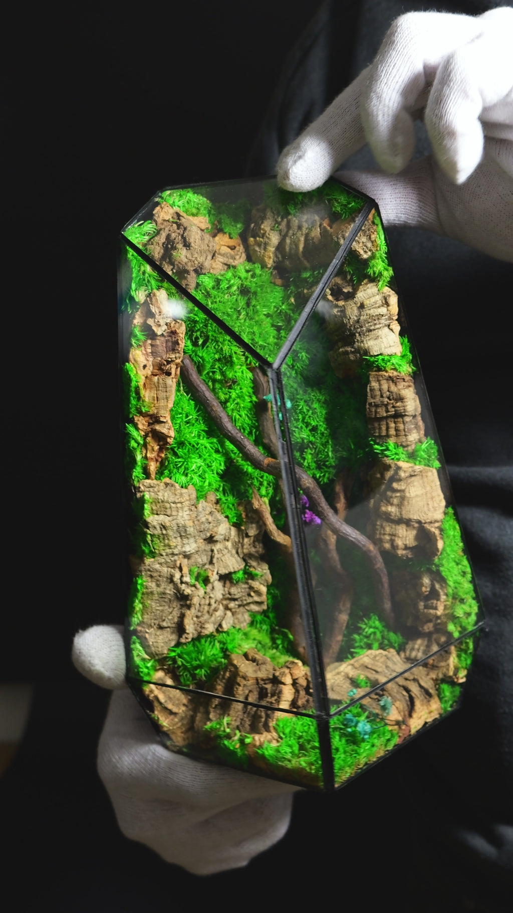 Terrarium con Piante Selezionate – Decorazione Naturale Premium 36