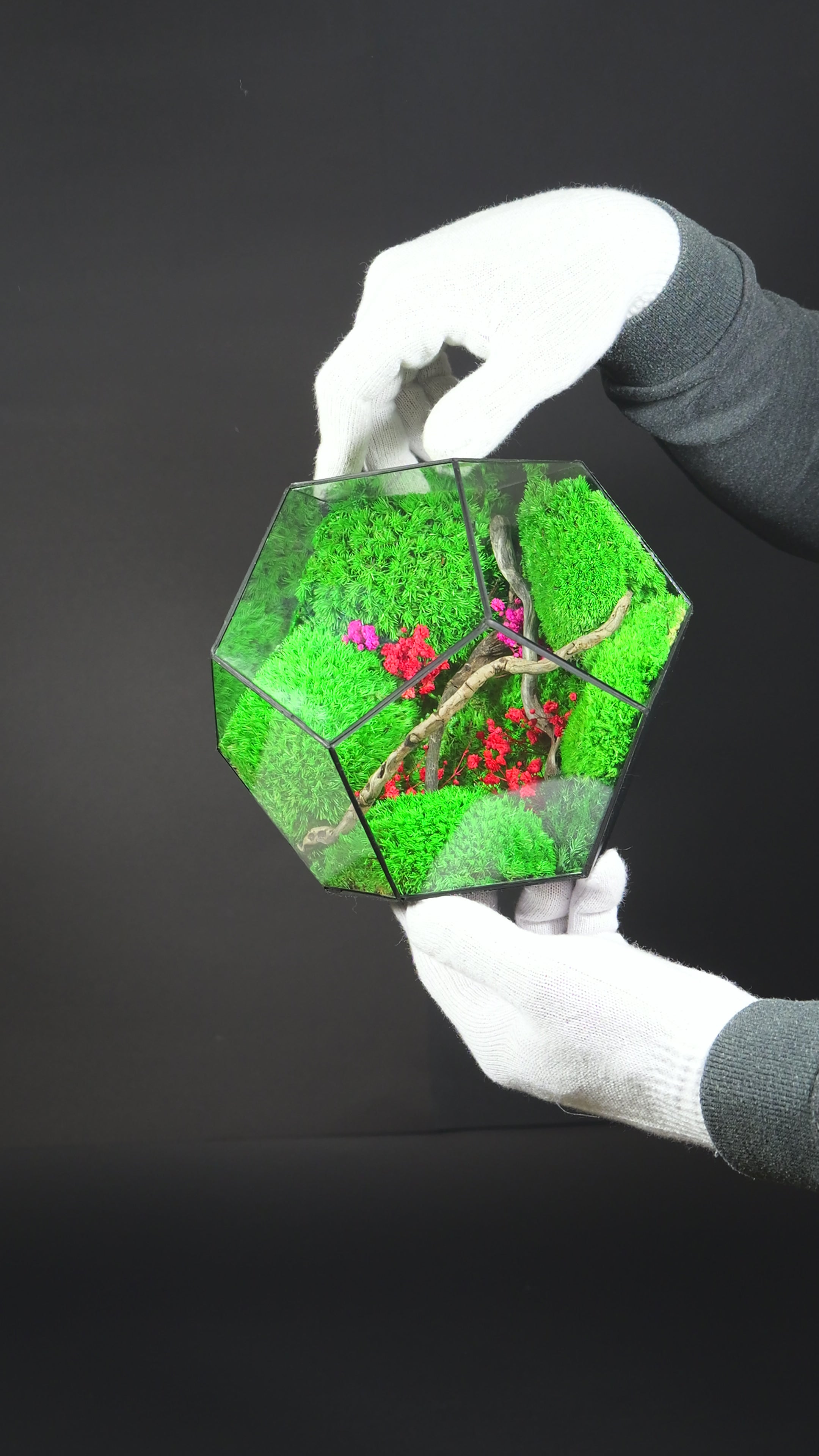 Terrarium Regalo Originale – Giardino in Miniatura in Vetro 31
