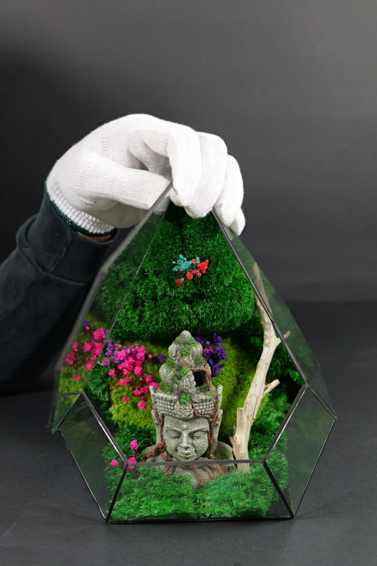 Terrarium 10