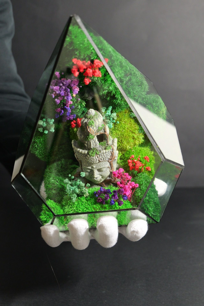 Terrarium 5