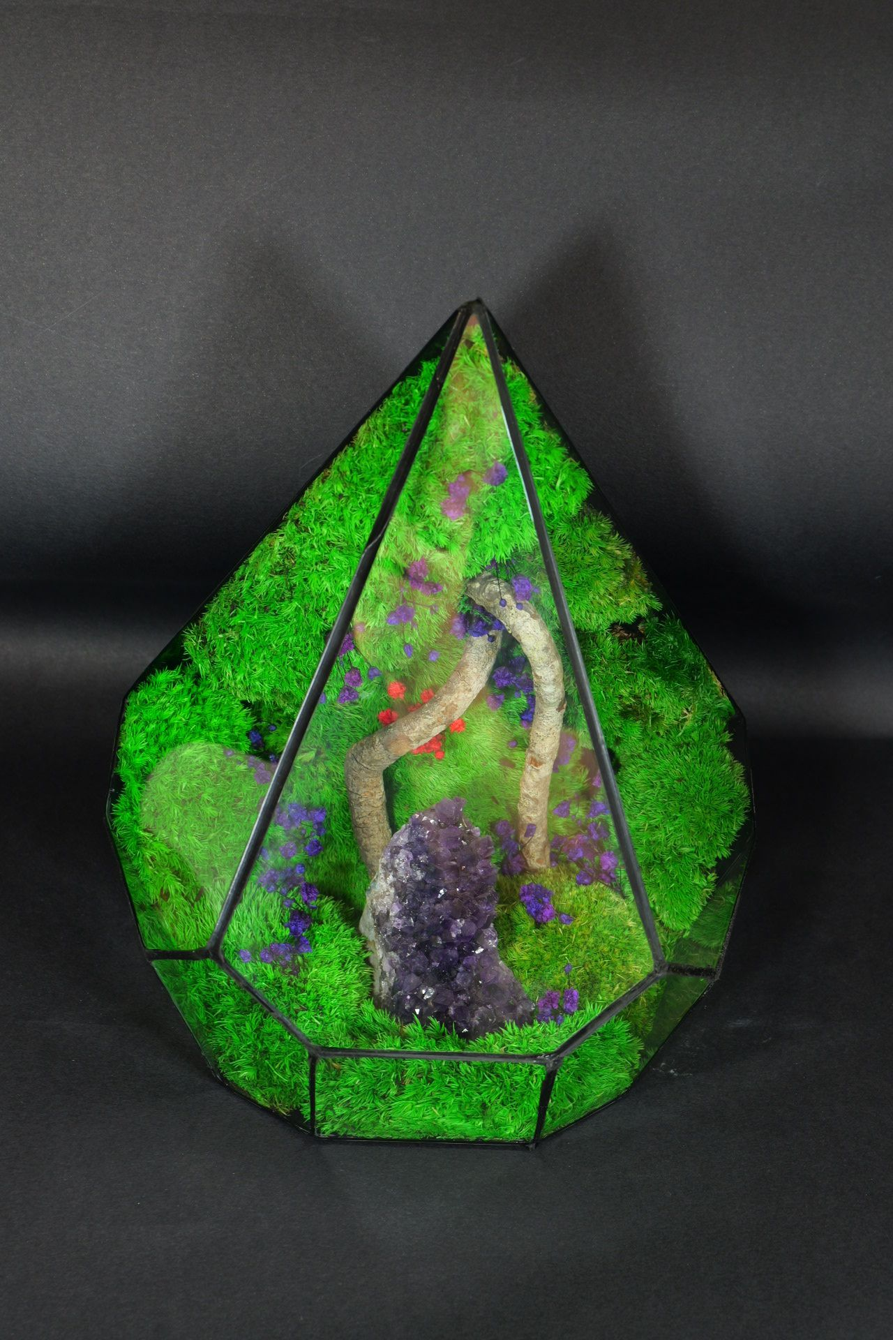 Terrarium Ornamentale da Tavolo – Decorazione Naturale Elegante 43