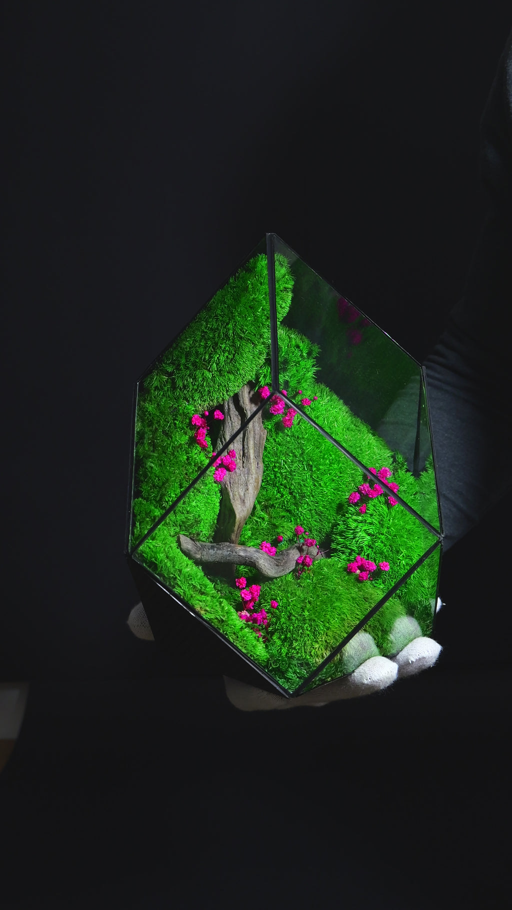 Terrarium di Design per Interni – Arredo Botanico Moderno 40