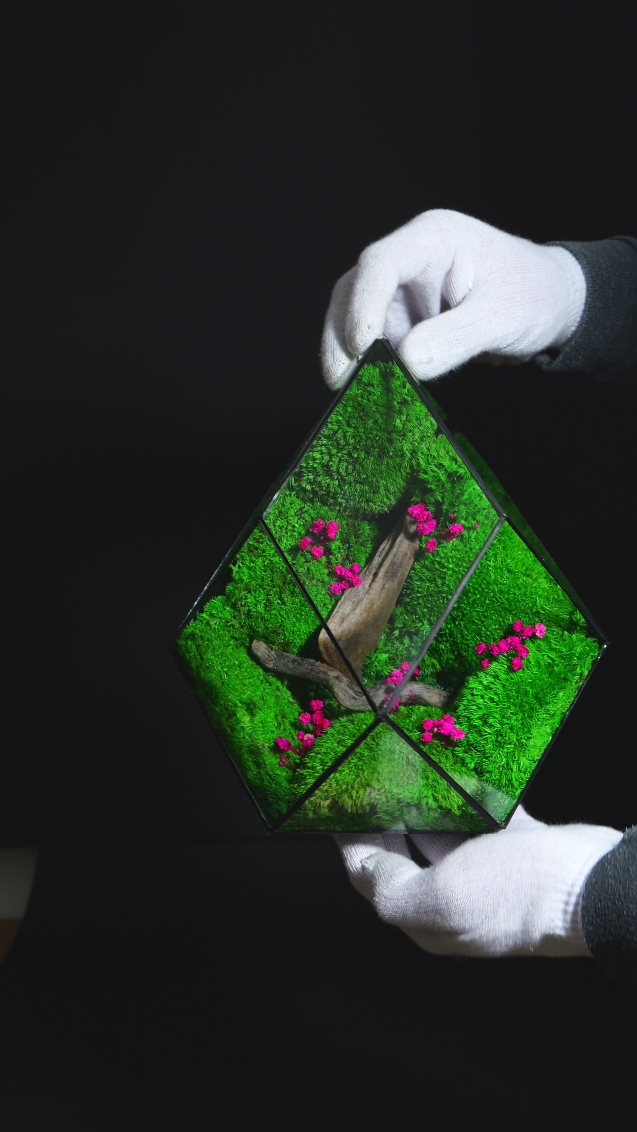 Terrarium di Design per Interni – Arredo Botanico Moderno 40