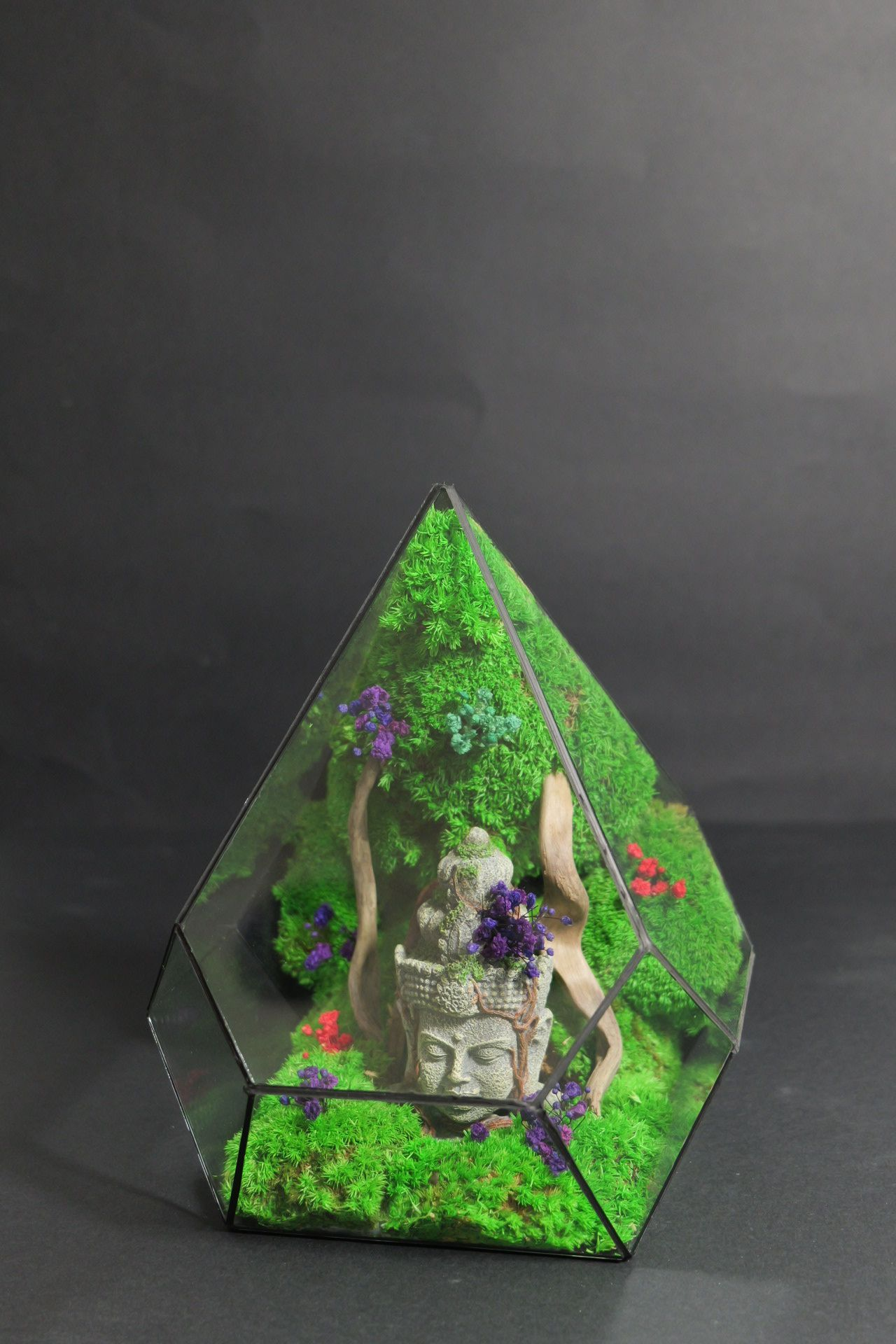 Terrarium 4