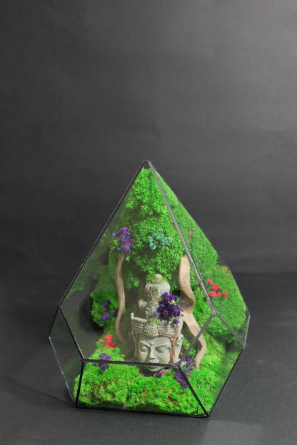 Terrarium 4