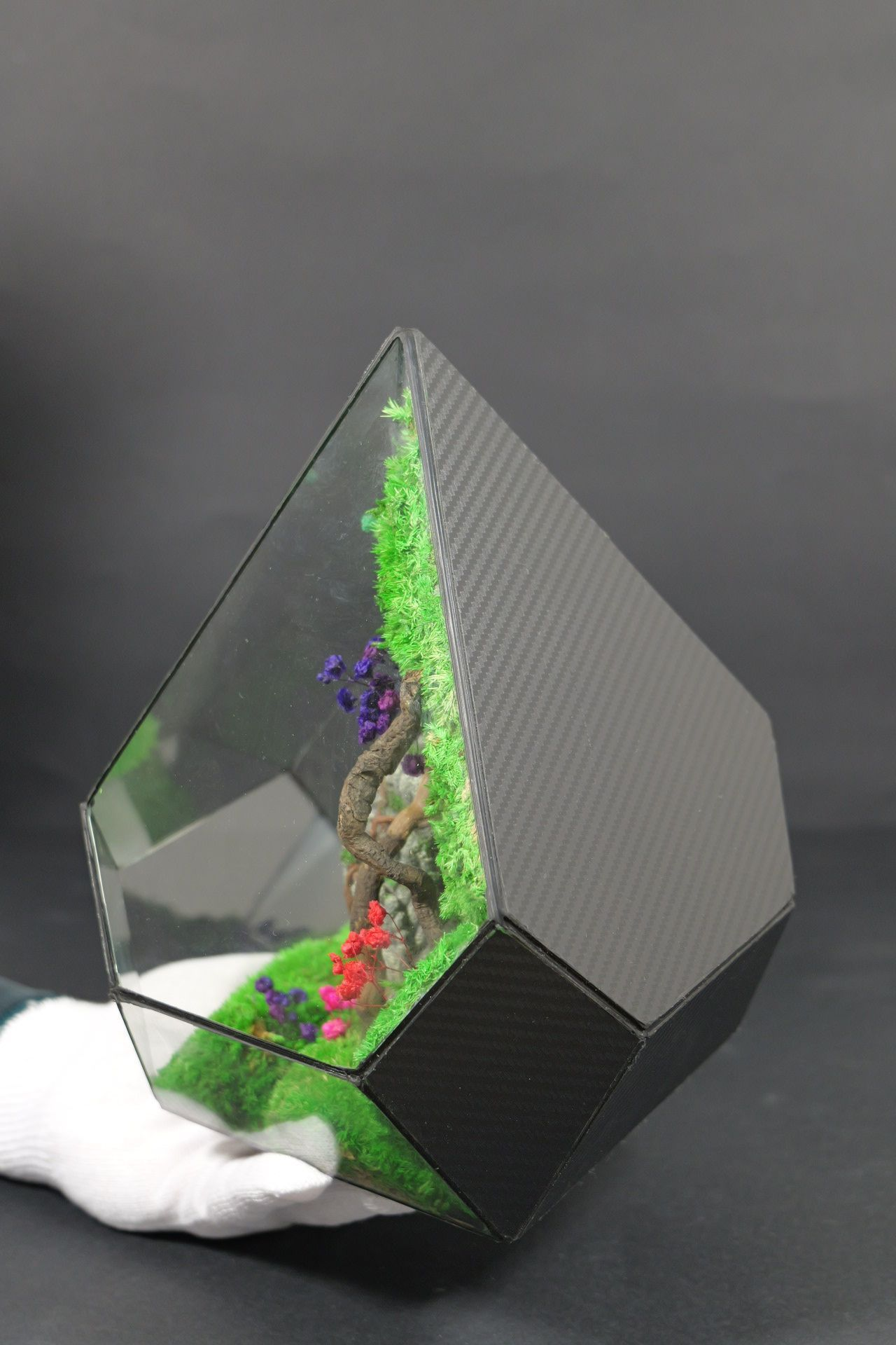 Terrarium 2