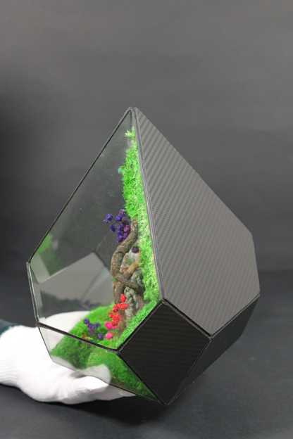 Terrarium 2