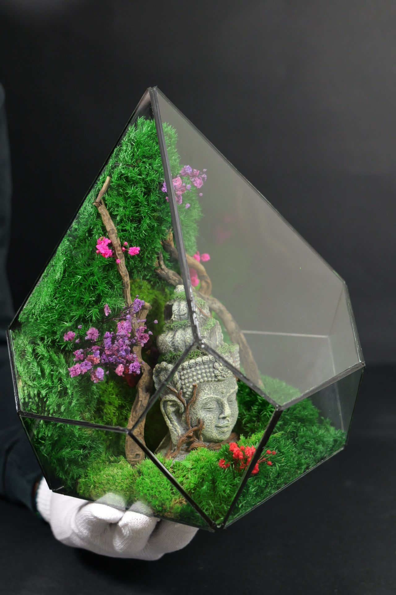 Terrarium 8