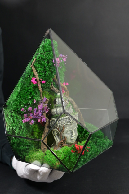 Terrarium 8