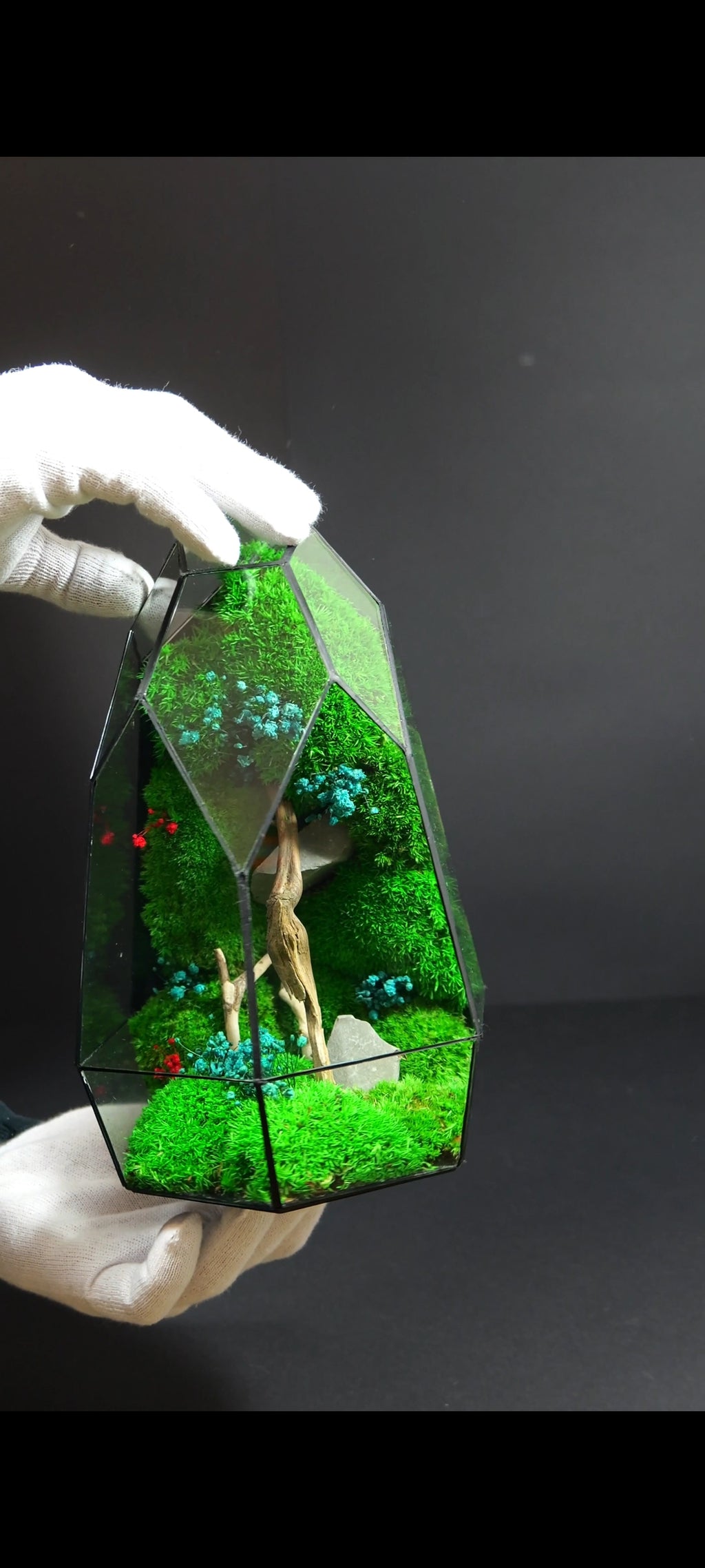 Terrarium da Tavolo Elegante – Ecosistema Verde Naturale 19