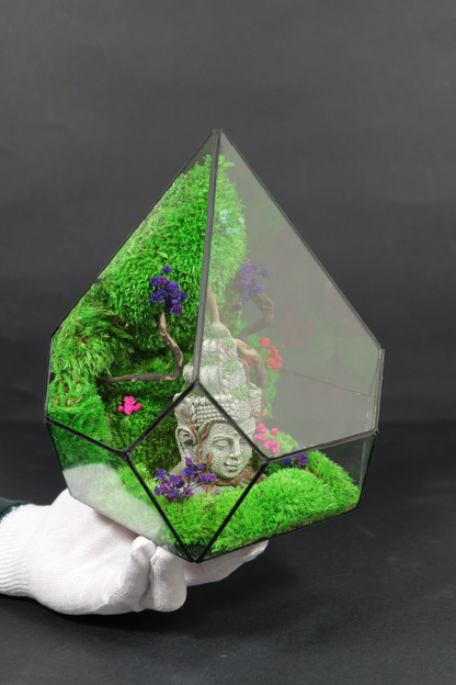 Terrarium 2