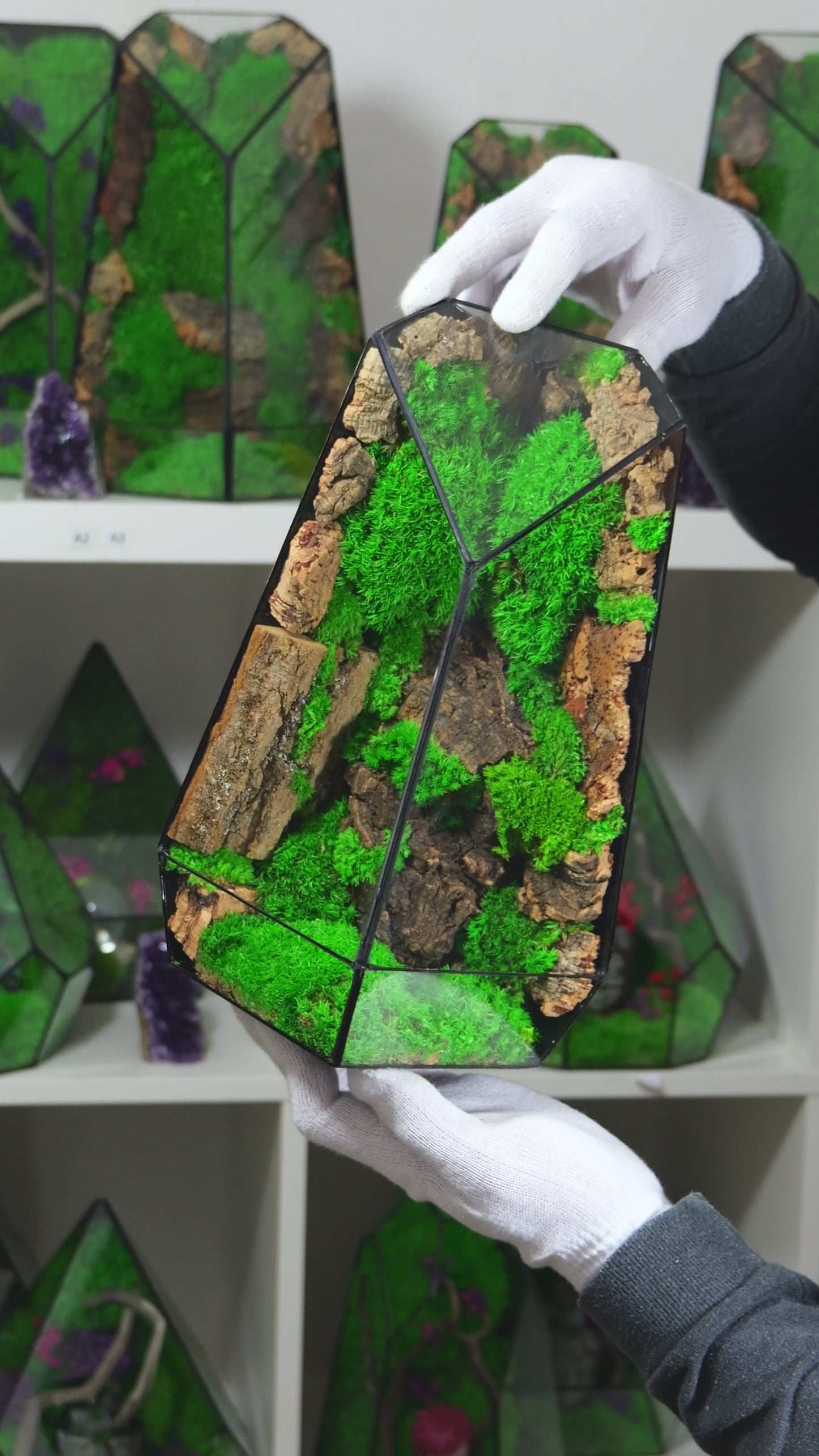 Terrarium 28