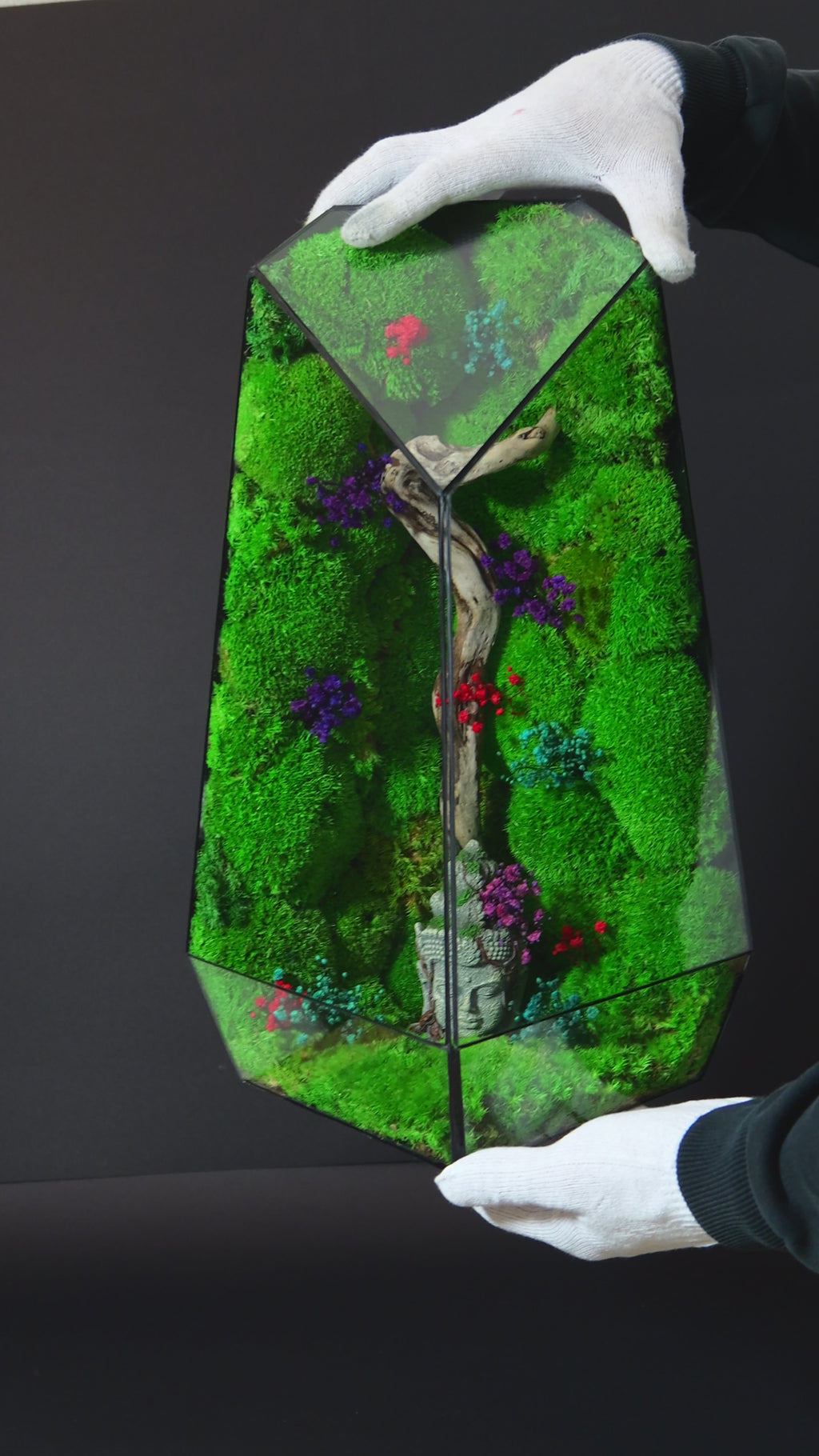 Terrarium con Muschio Stabilizzato – Oggetto Decorativo Green 20
