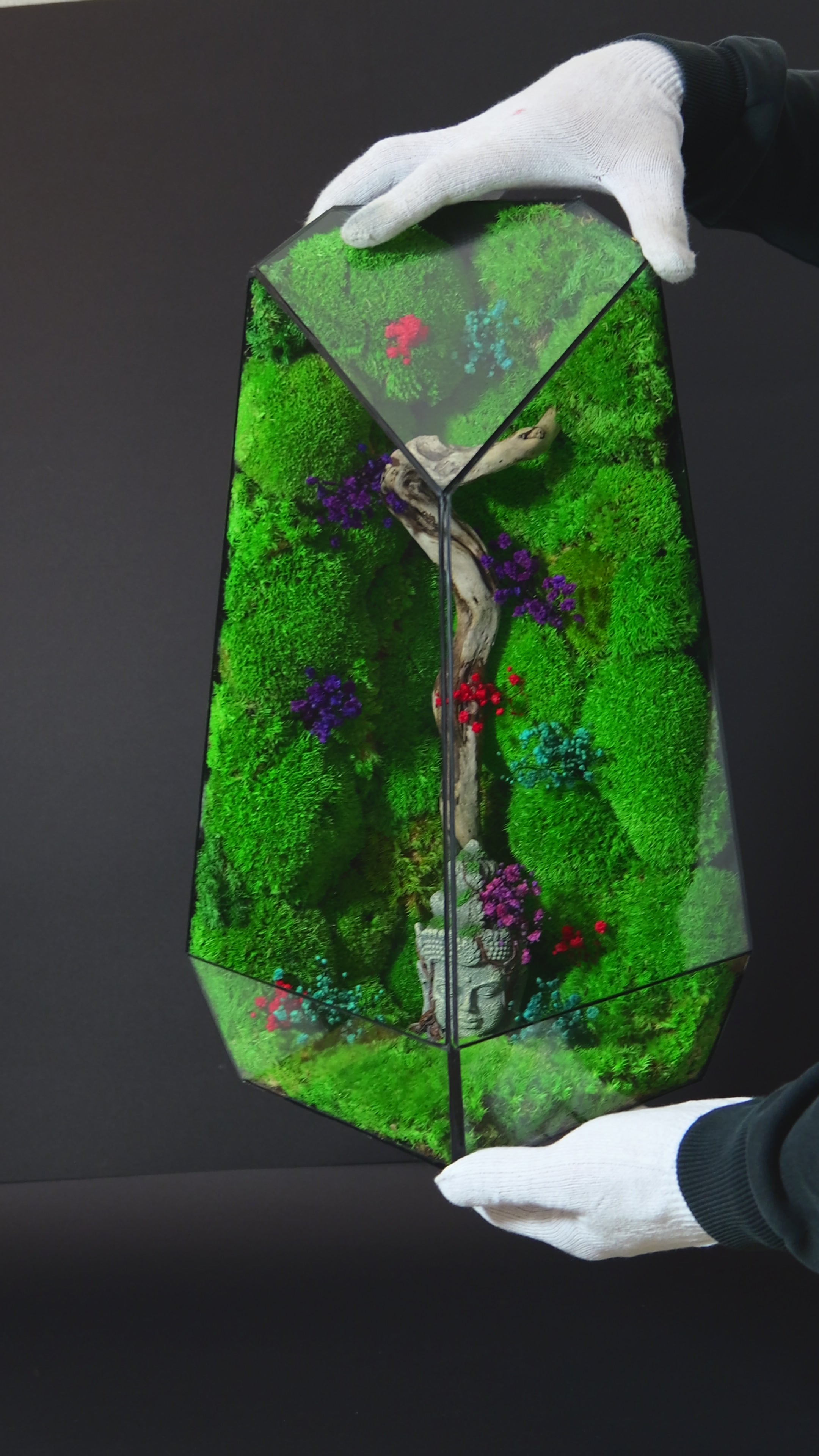 Terrarium con Muschio Stabilizzato – Oggetto Decorativo Green 20