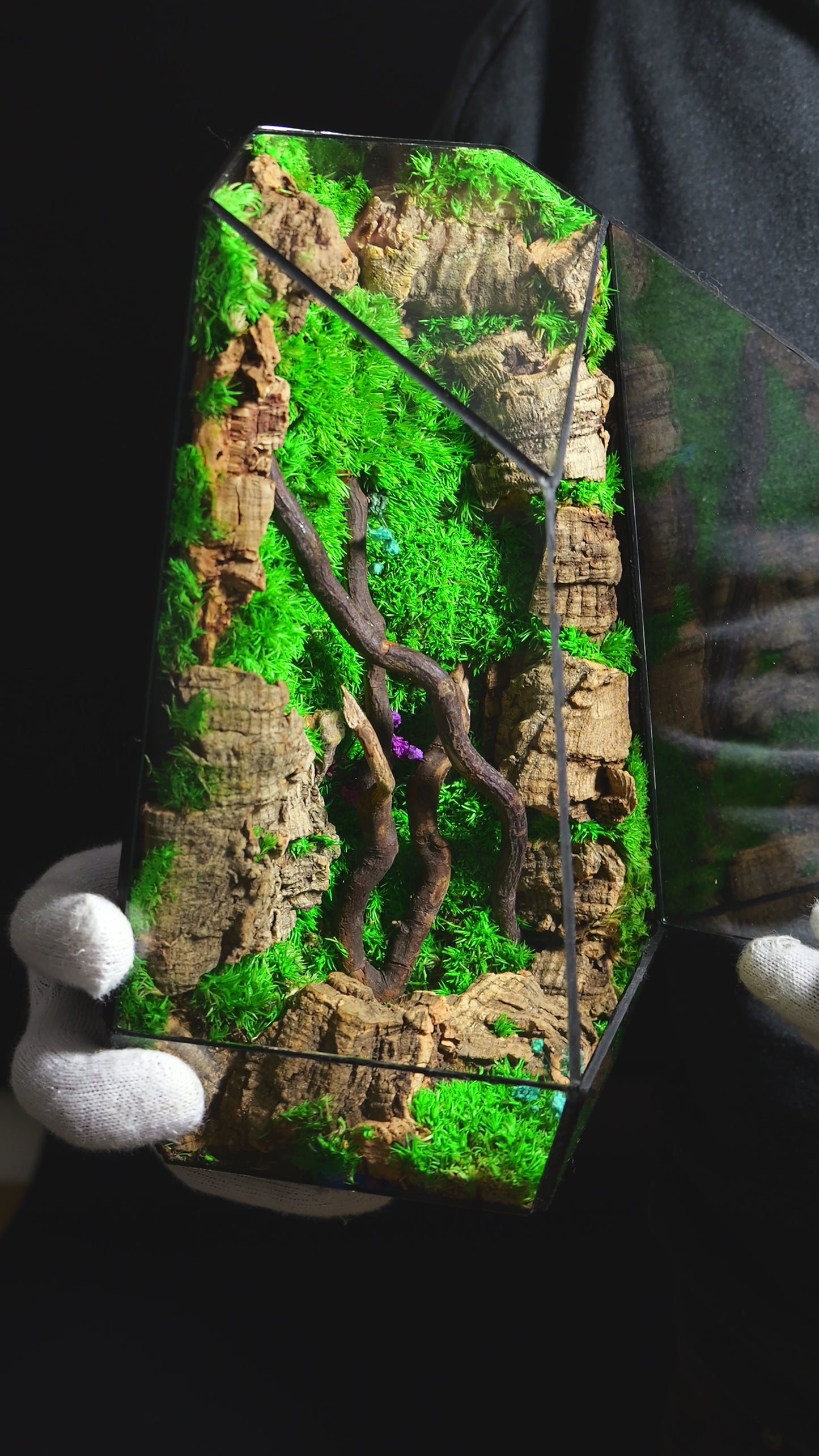 Terrarium 36