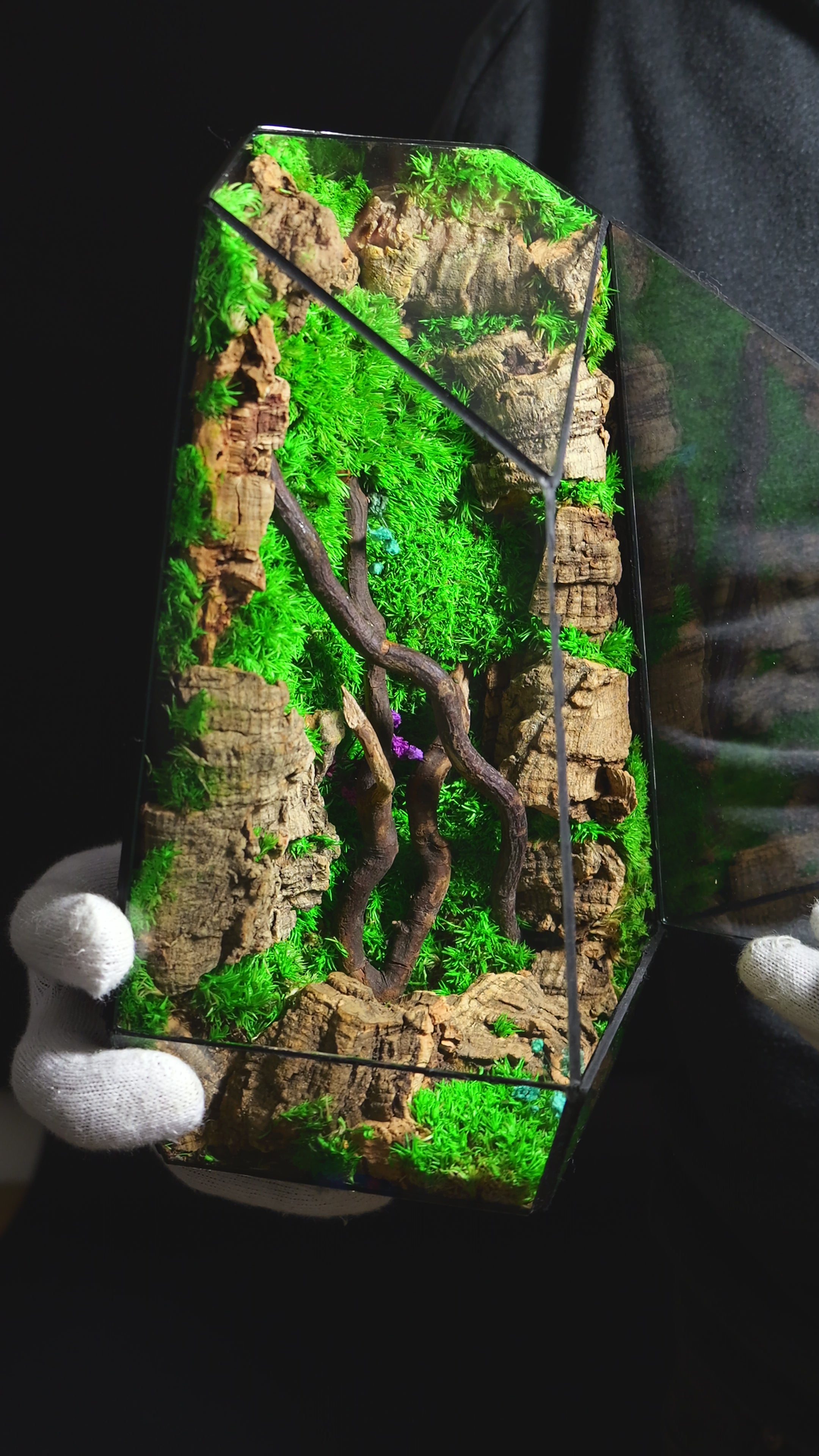 Terrarium con Piante Selezionate – Decorazione Naturale Premium 36